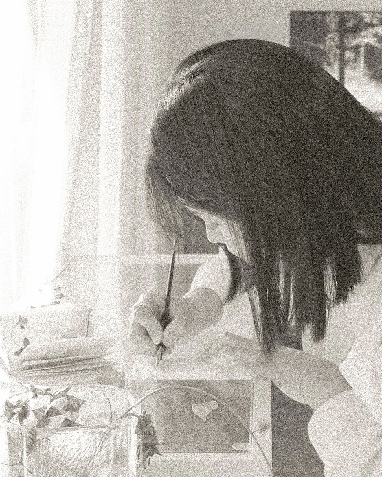 ✽ ╱ Fleur no. 50 ┈ G o m p h r e n a  L.