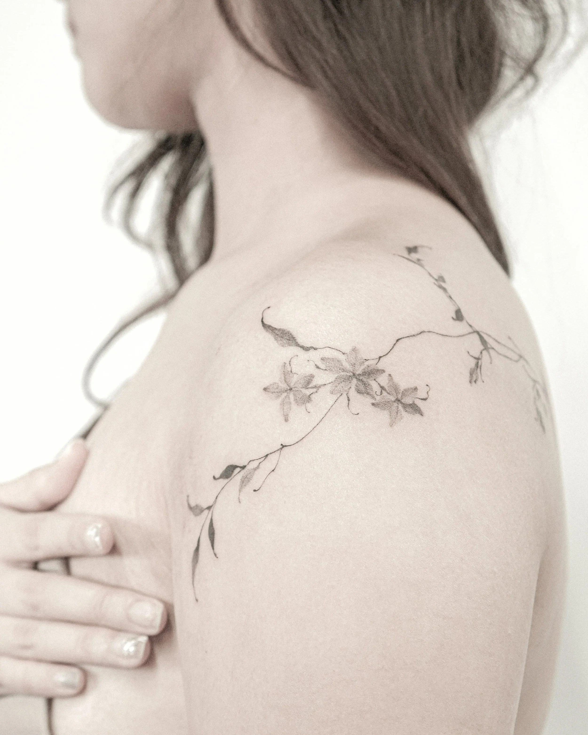 ✽ ╱ Fleur no. 41 ┈ Trachelospermum jasminoides ( Star jasmine )

:

a quiet kind of love

pure, gentle, and steady

the kind that blooms softly

and stays long after the night fades ∘