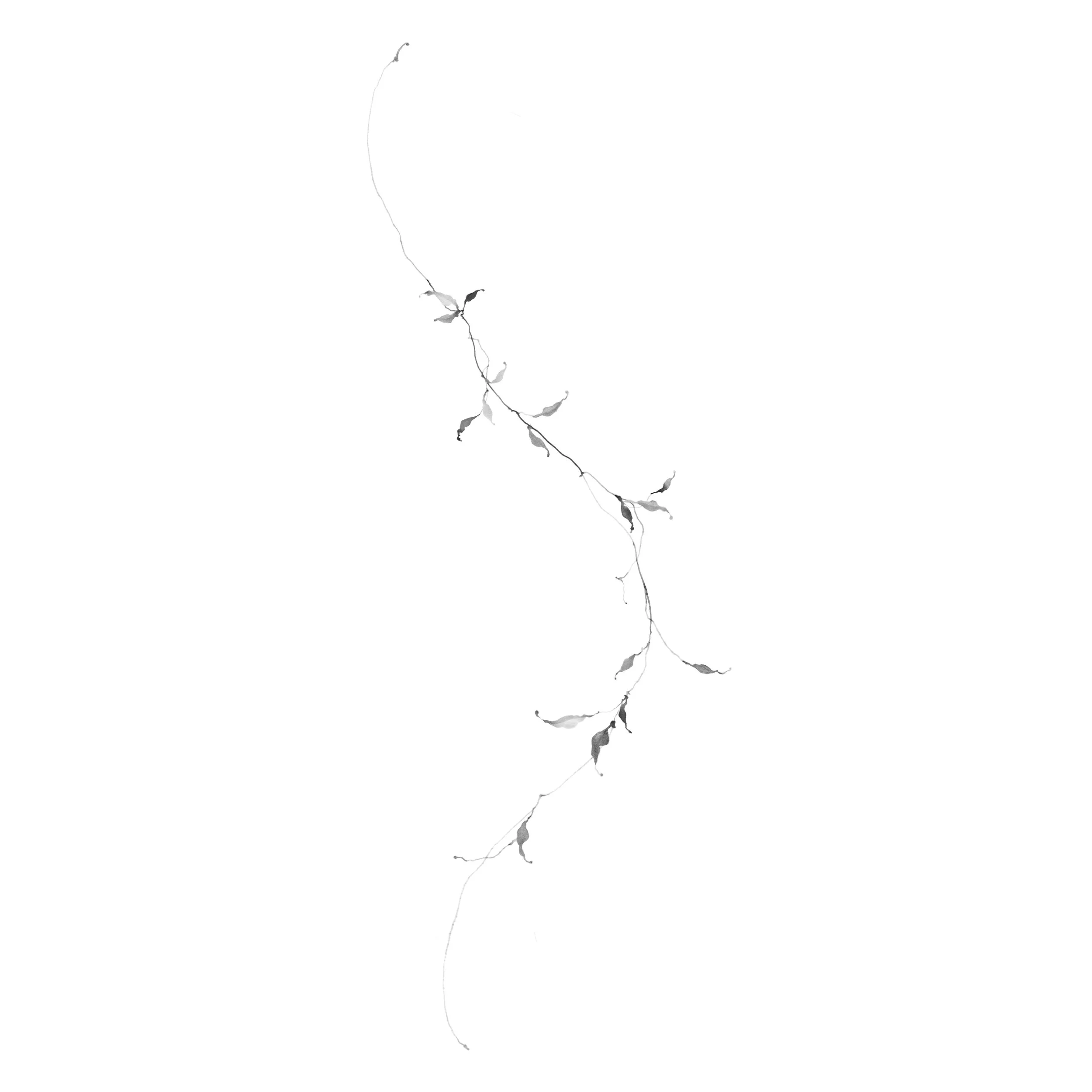 Feuille no. 15