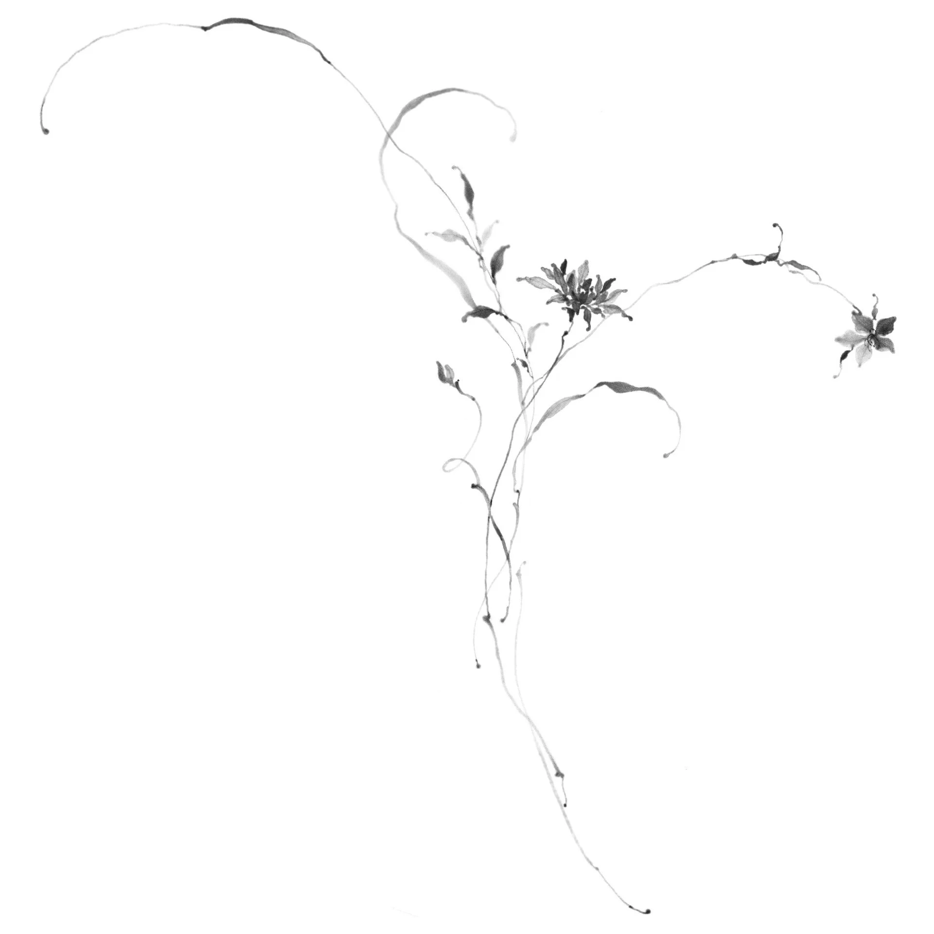 Fleur no. 55
