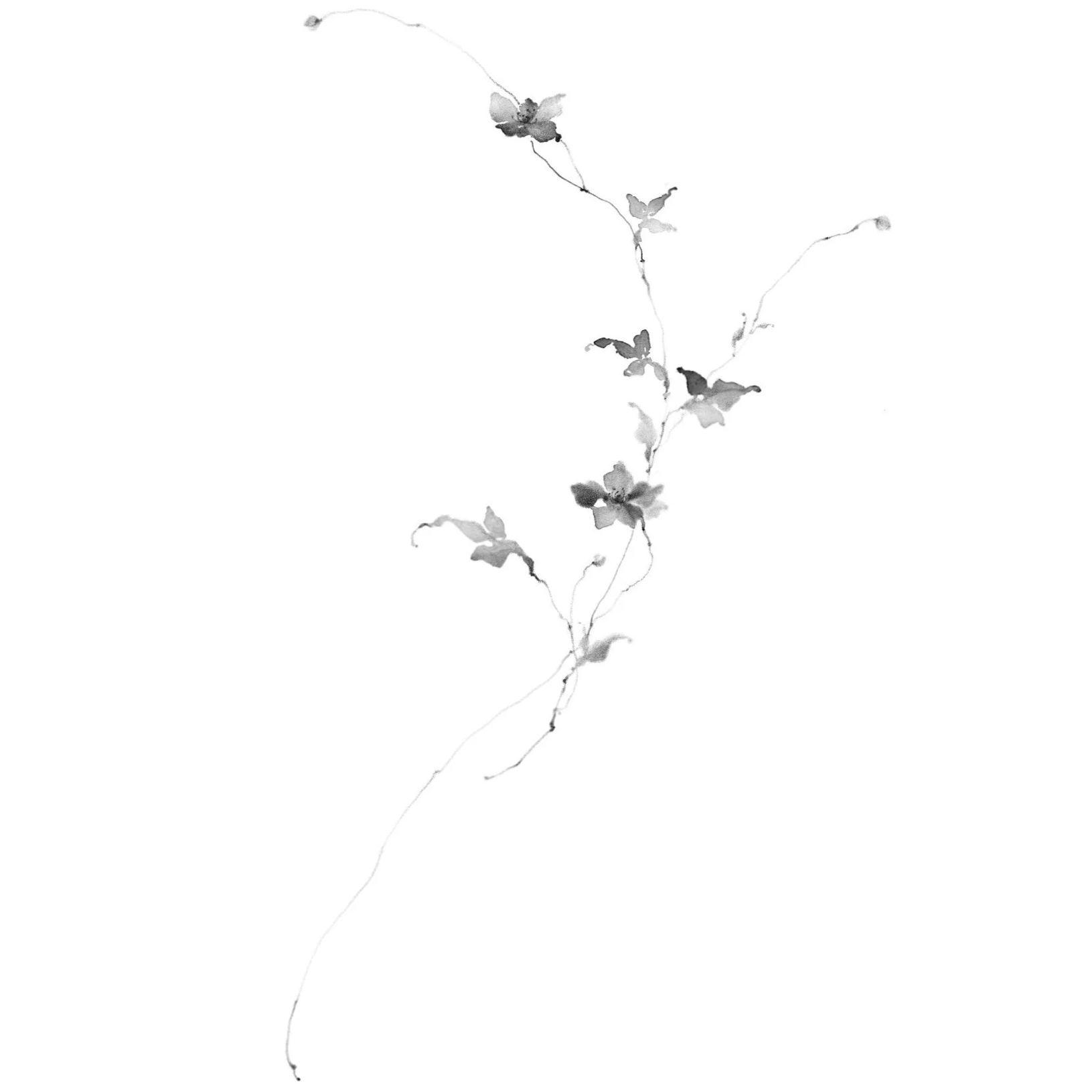 Fleur no. 59
