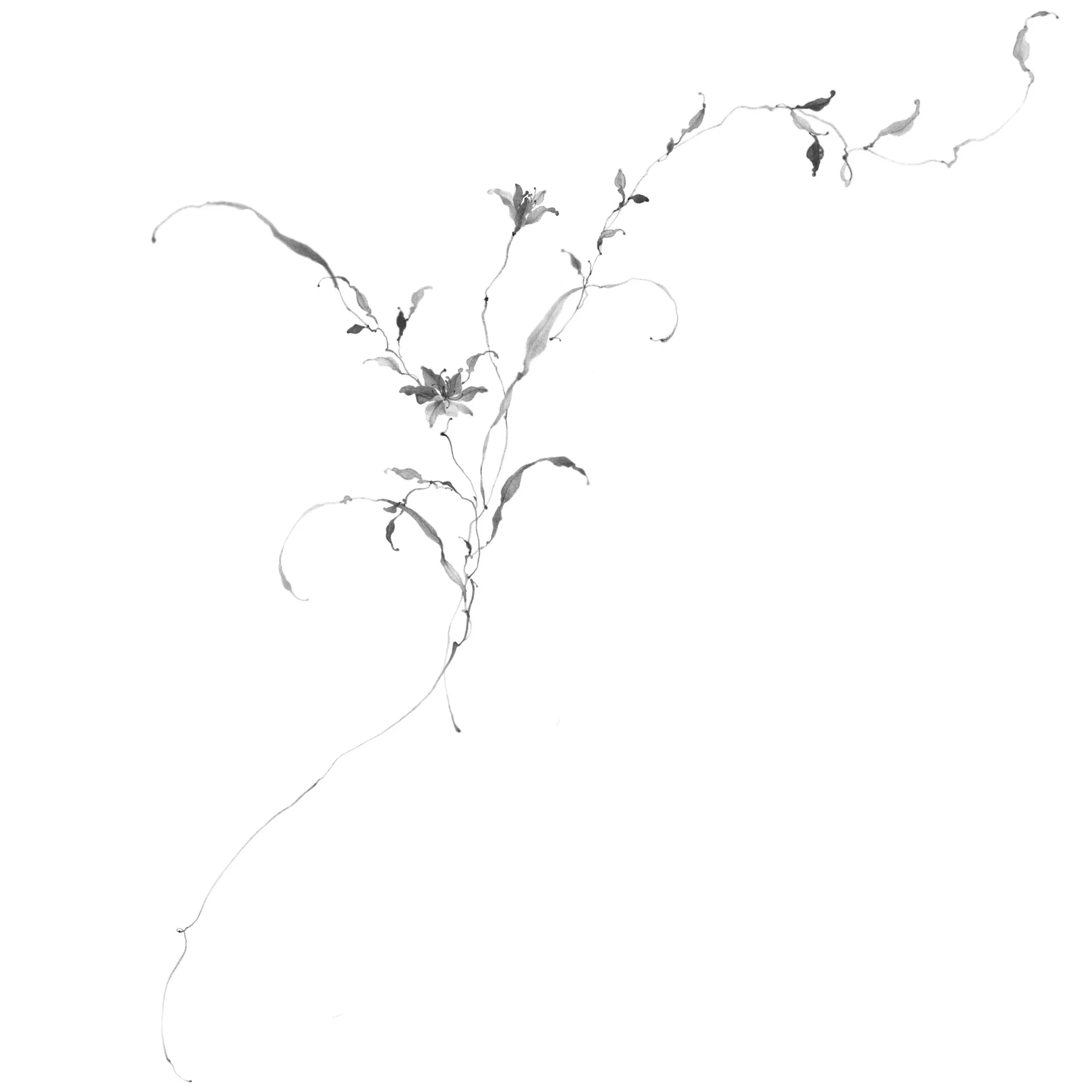 Fleur no. 54