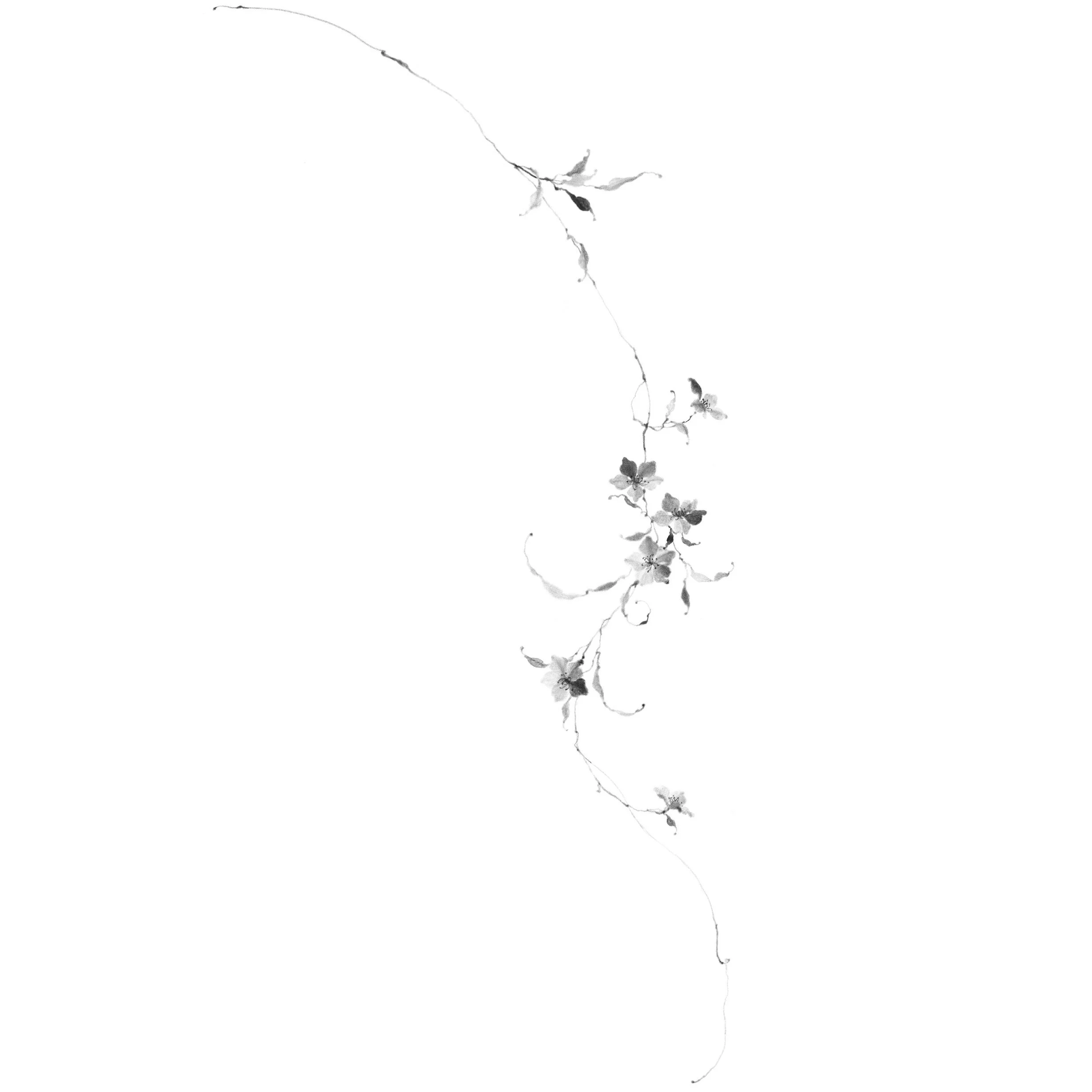 Fleur no. 60