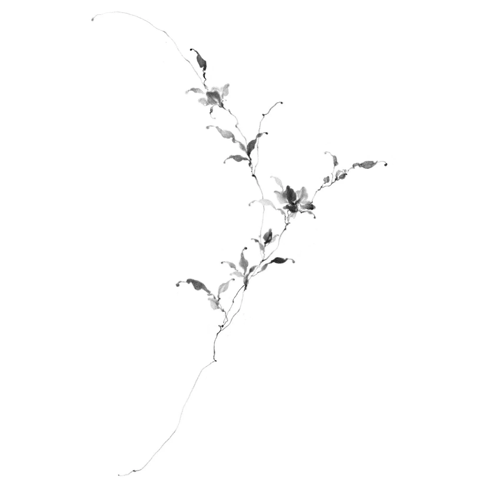 Fleur no. 63