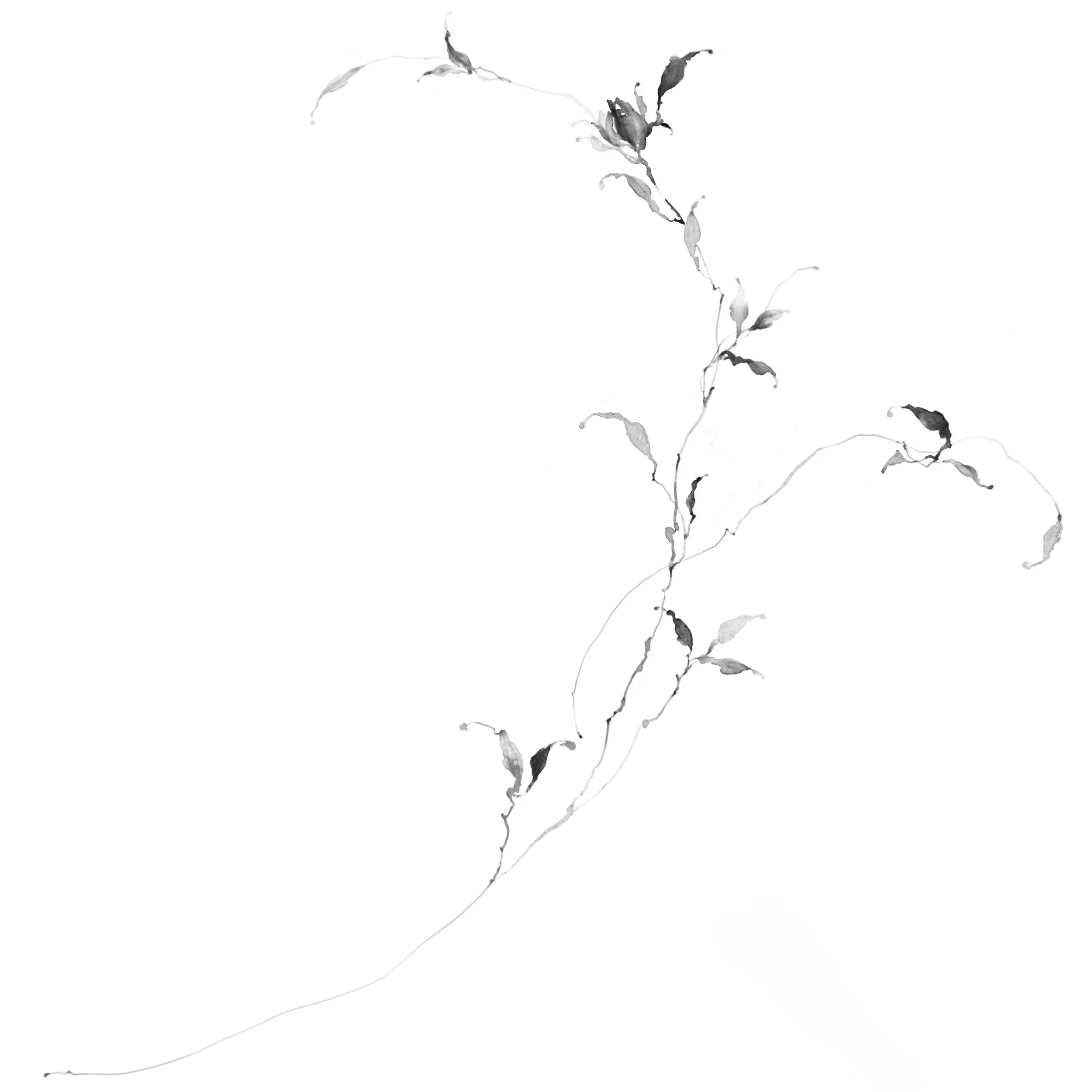 Fleur no. 58