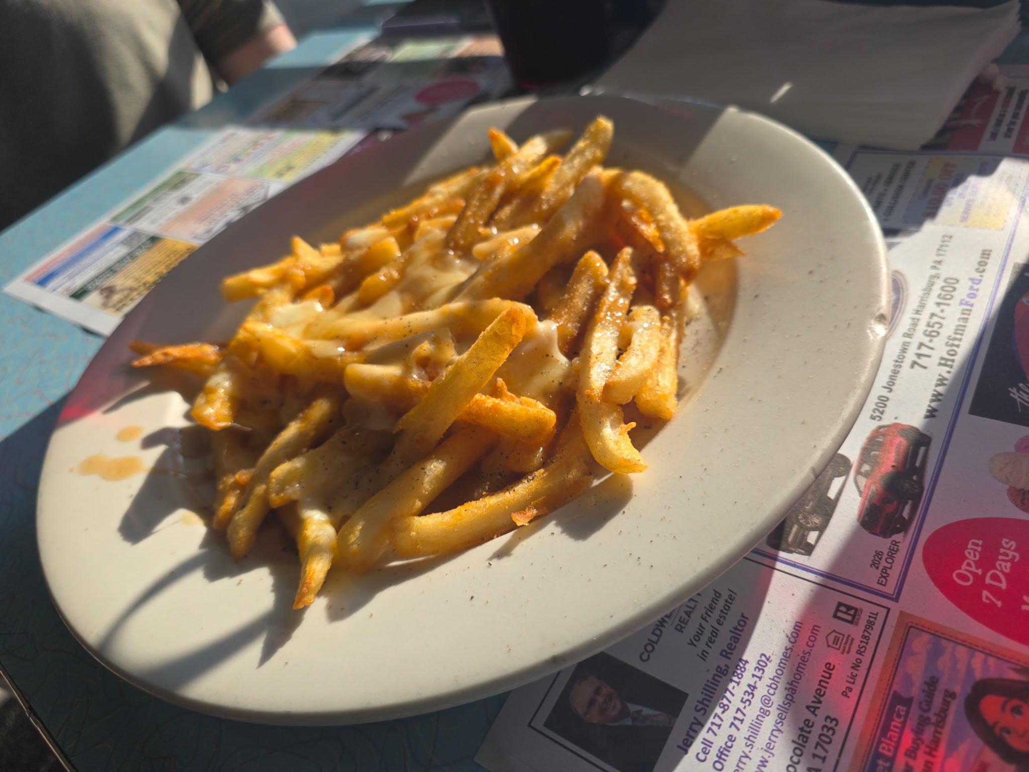 Soda Jerk Diner, poutine fries