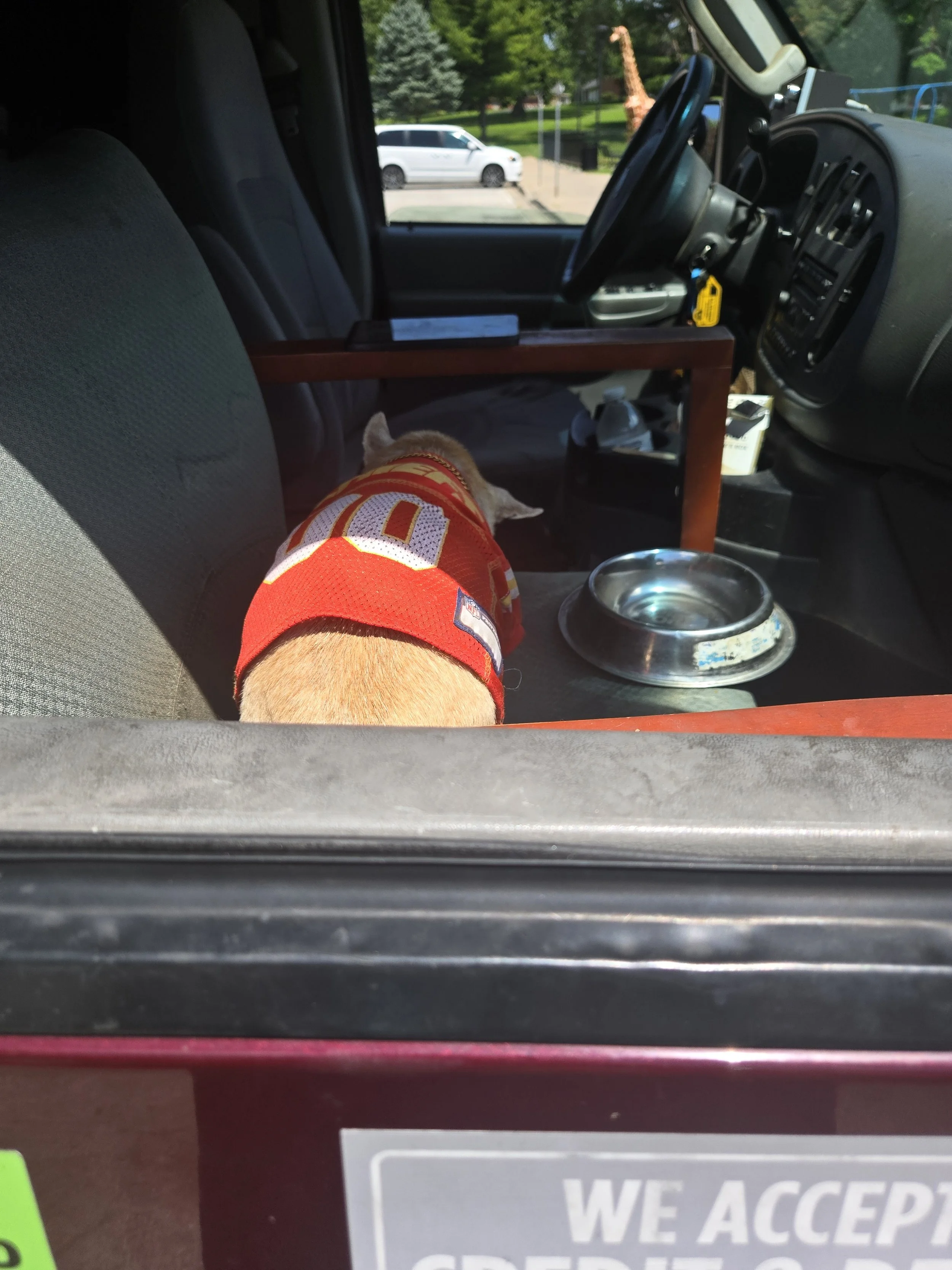 Cujo the famous KC Chief fan!