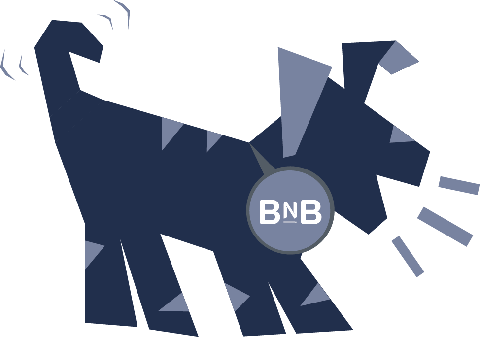 BNB DOG