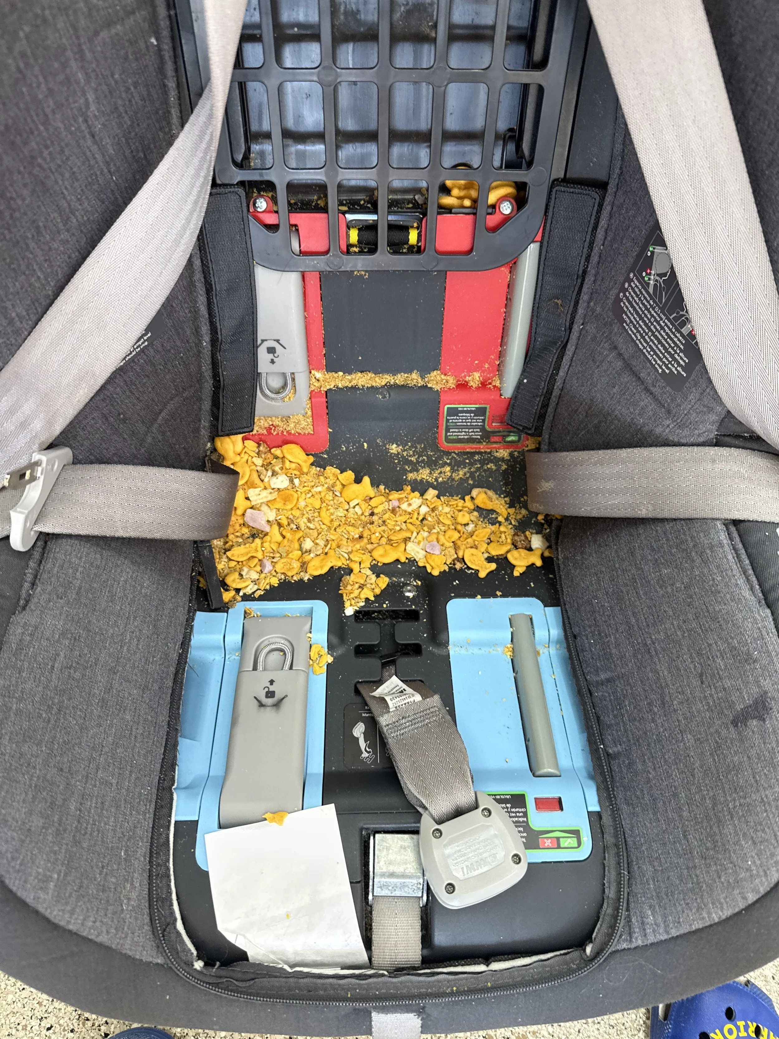 Inside of a car seat showing the seatbelt mechanisms and a black plastic tray with some spilled snack crumbs and yellow cheese crackers.
