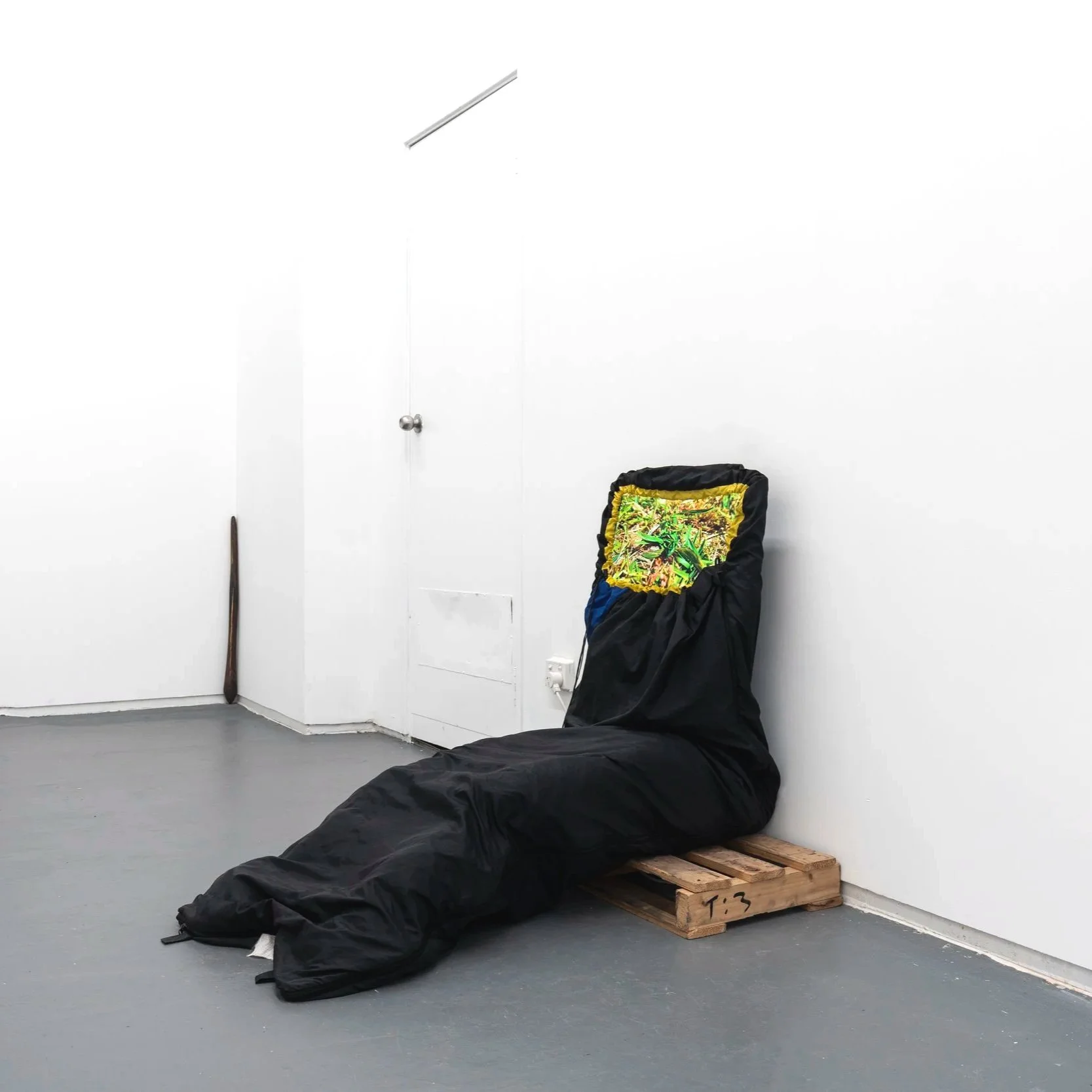 Daisy, Metamorphosis. 2024.jpg