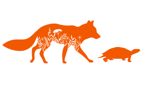 Kyla and Brian&#x27;s Wedding