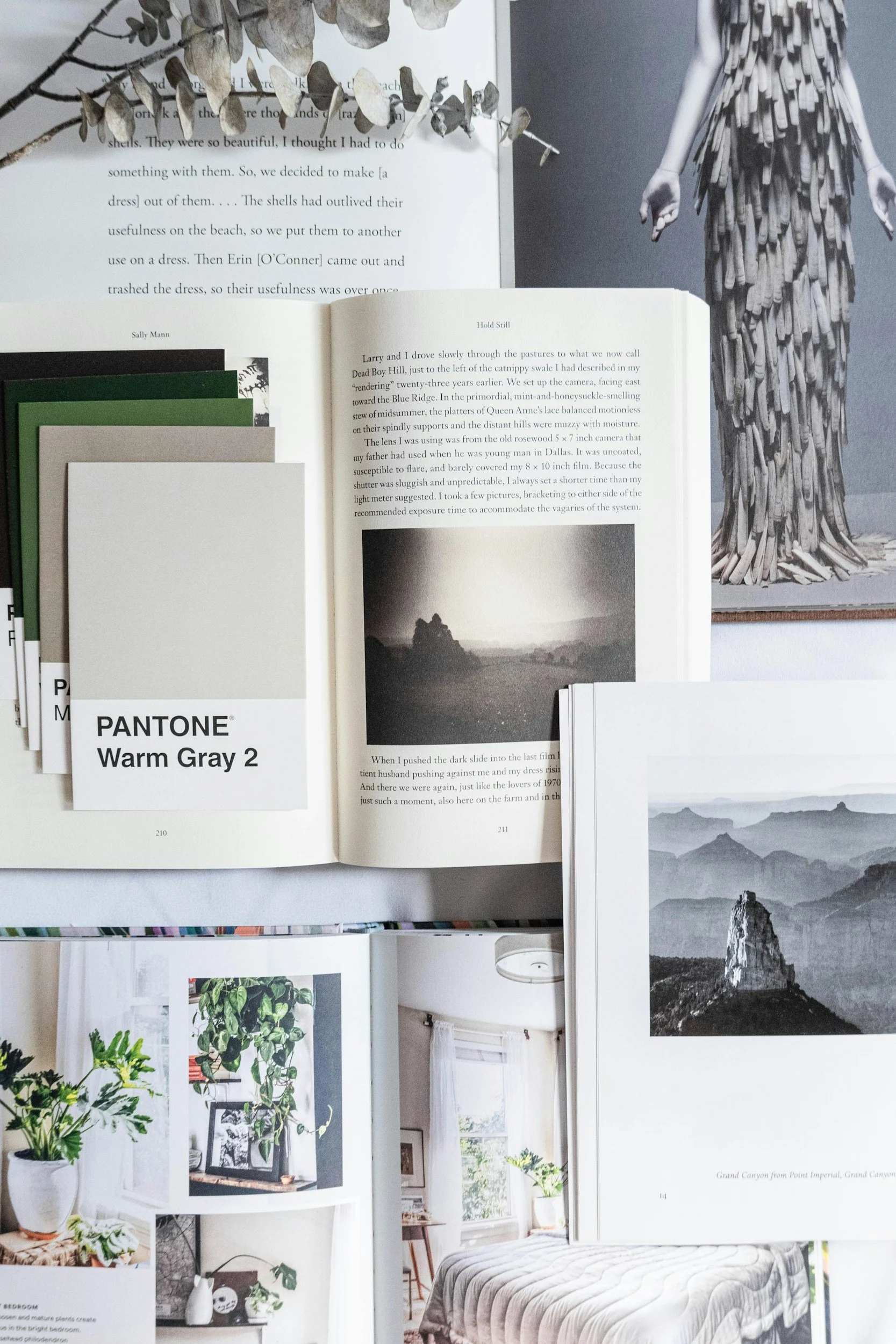 An open book with black and white photographs and text, resting on a surface with sample color swatches labeled 'PANTONE Warm Gray 2', next to other books and glossy photographs of interior spaces and black and white landscapes. Another framed black and white landscape photograph hangs in the background, and dried eucalyptus leaves are partly visible at the top.