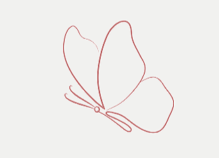 Outline drawing of a butterfly with simple, minimal lines.
