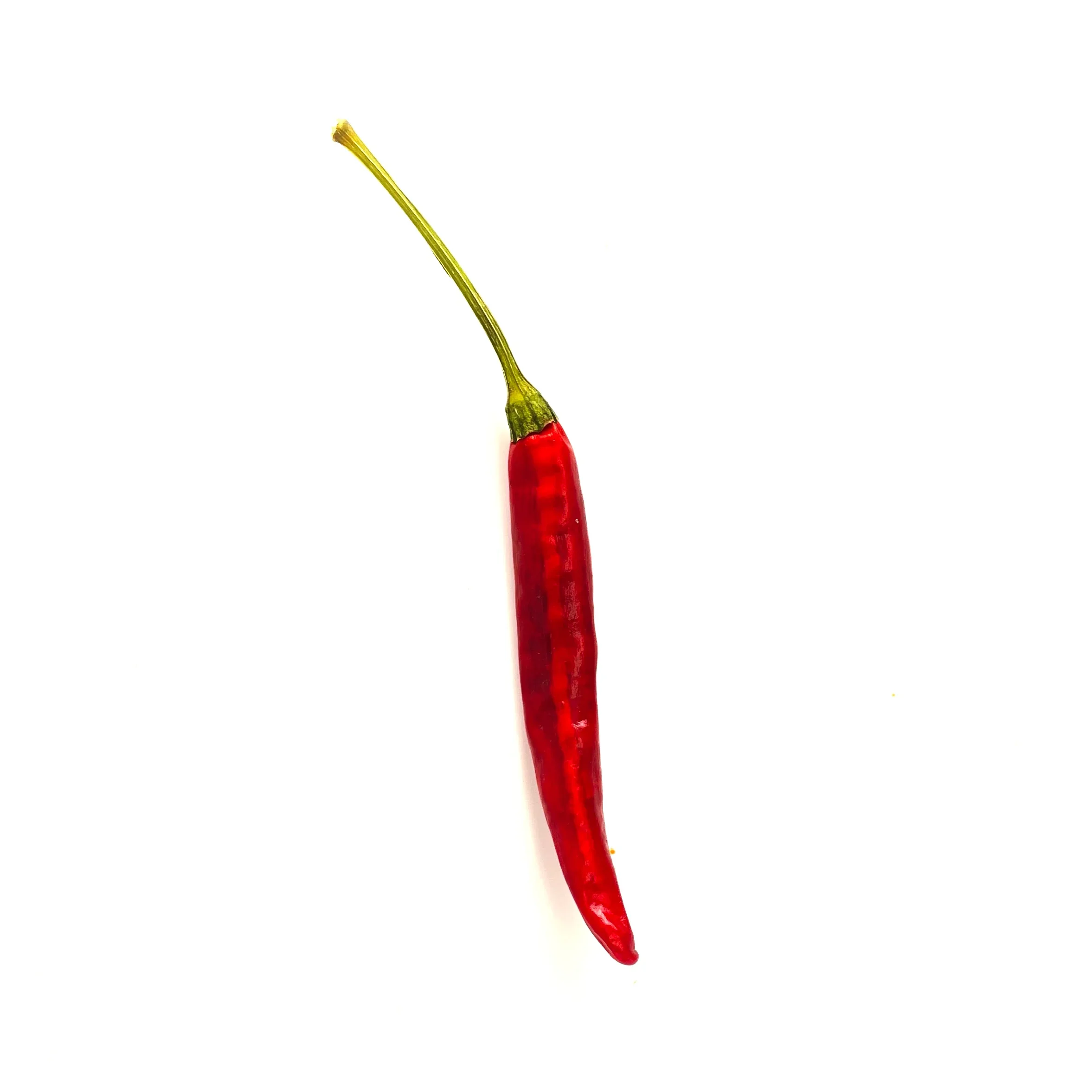 Pequin de Michoacán