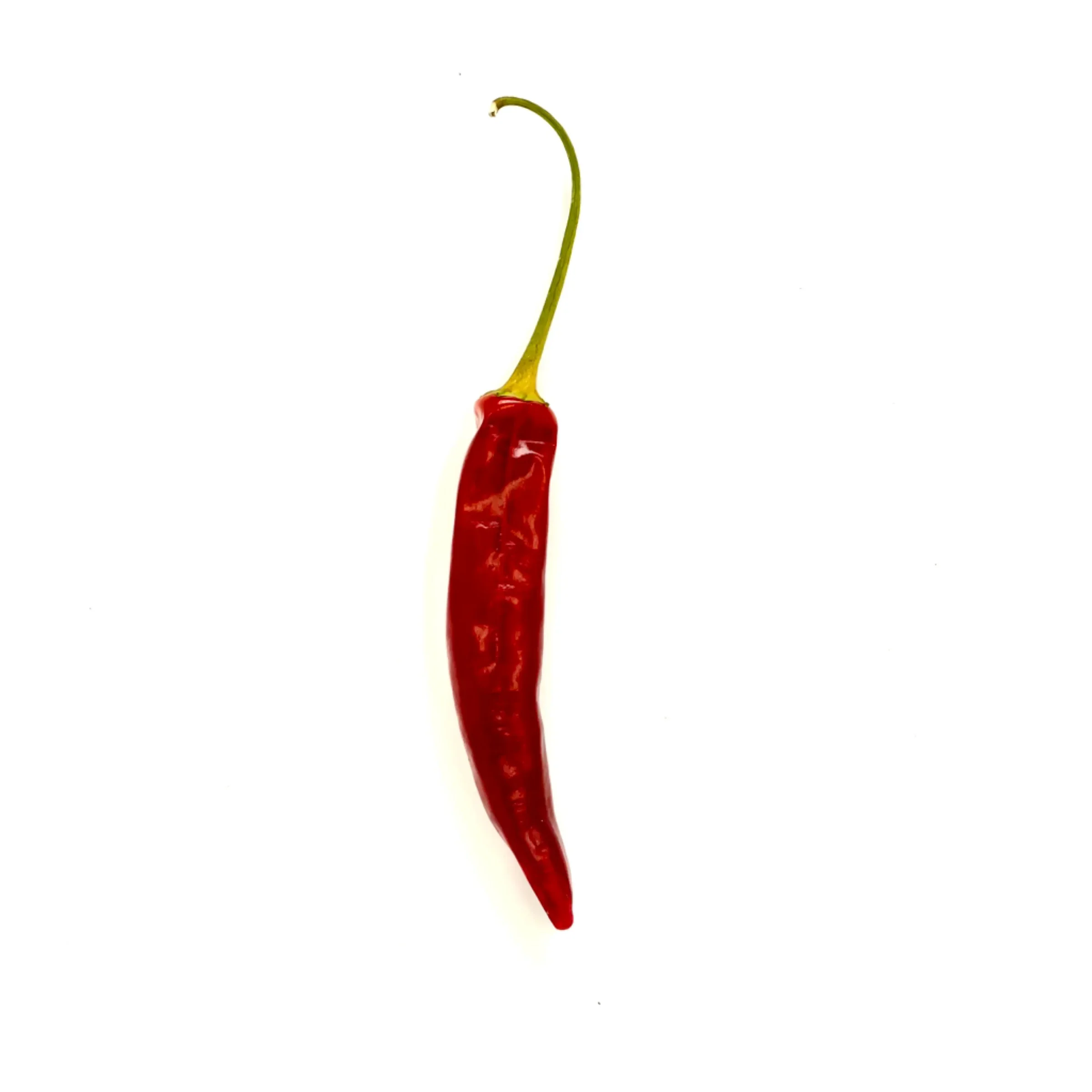 Korean Pods