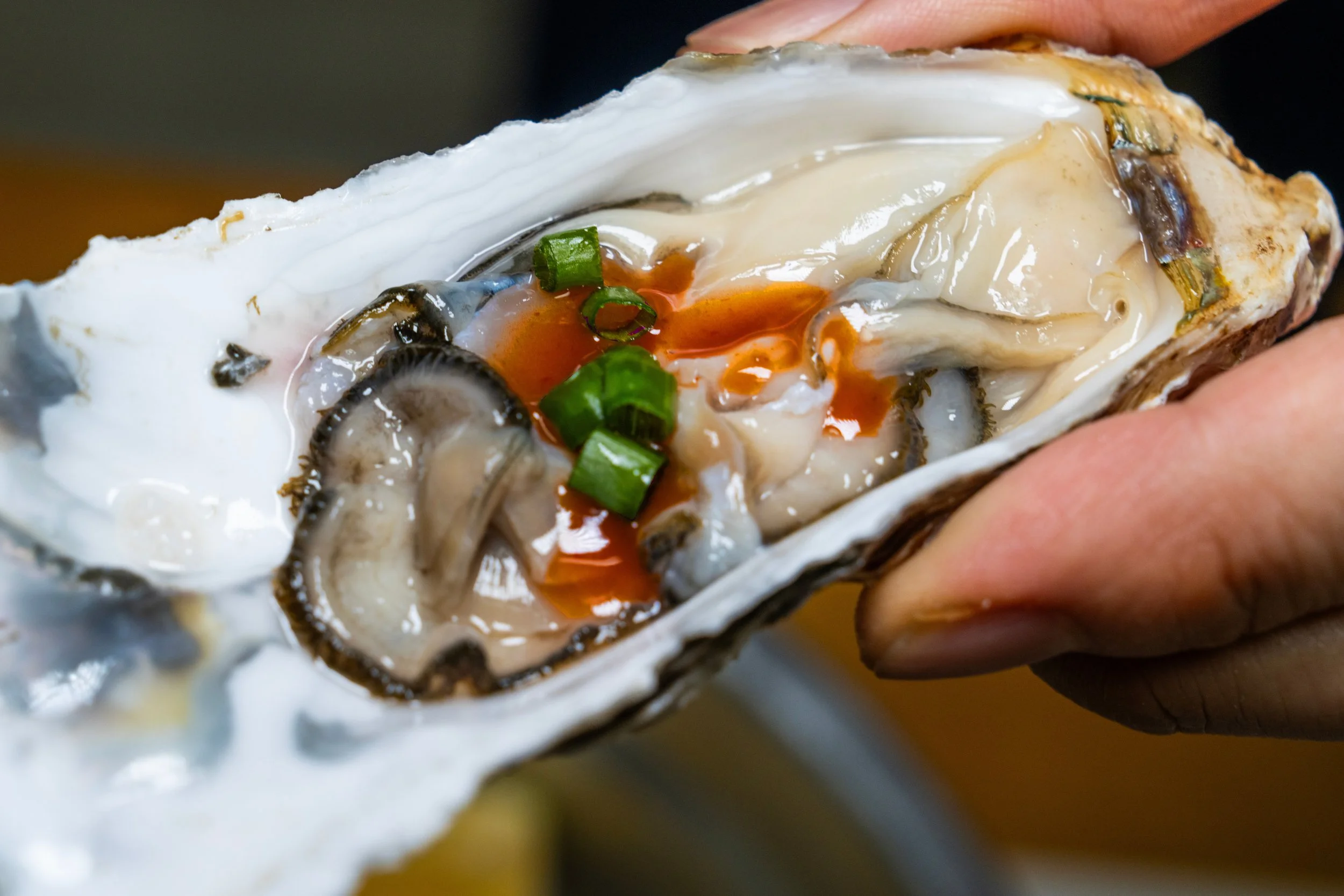 Peppered Earth Tropical Hot Sauce on Oyster.jpg