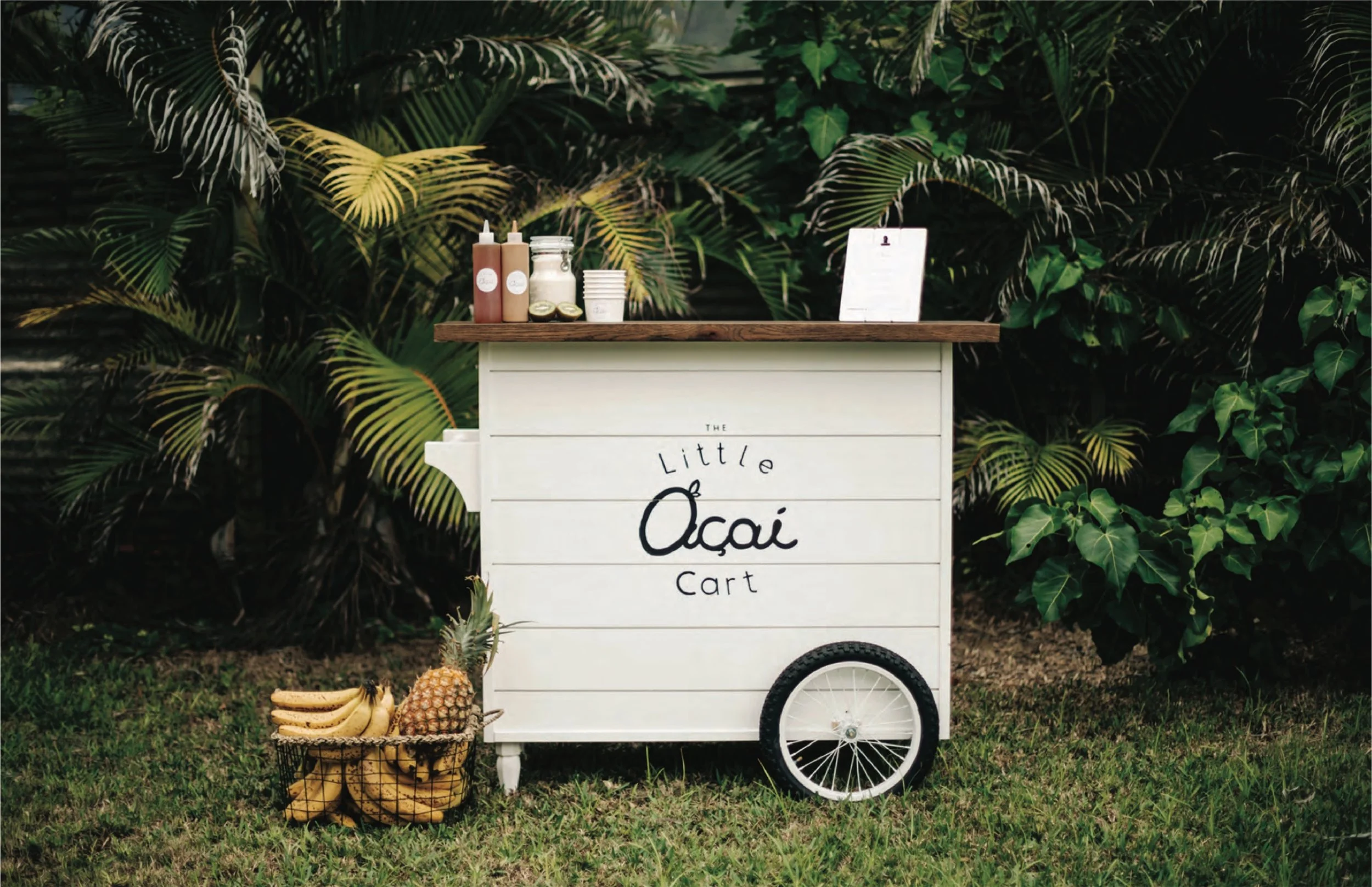 Little_Açaí_Cart_PDF.jpg