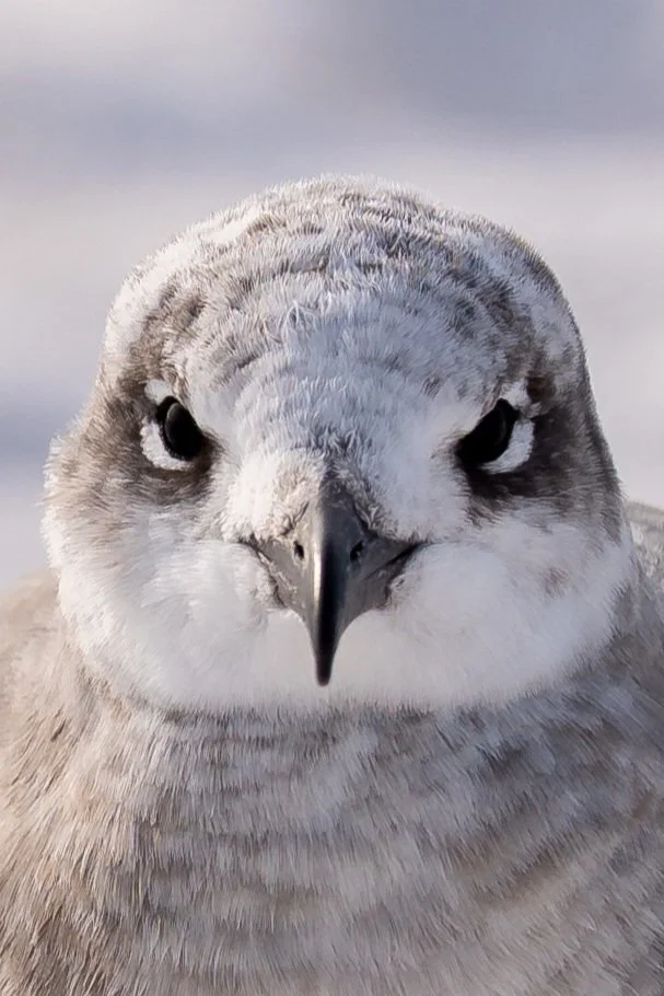 DSC04404 (1)(1)(1).jpg