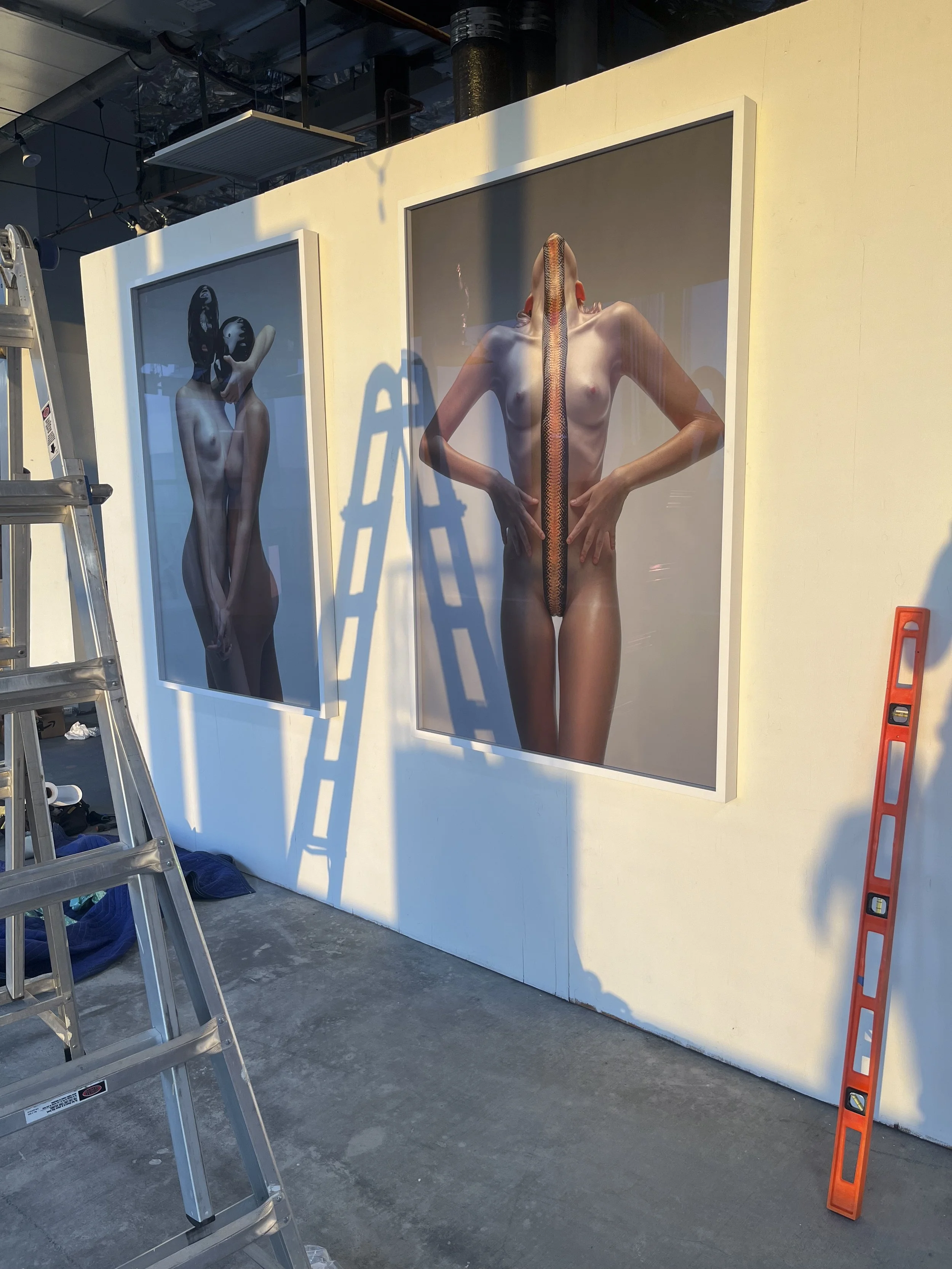 Two large framed photographs of nude women with snake art covering their faces, displayed on a white gallery wall. Construction ladders and tools are visible nearby.