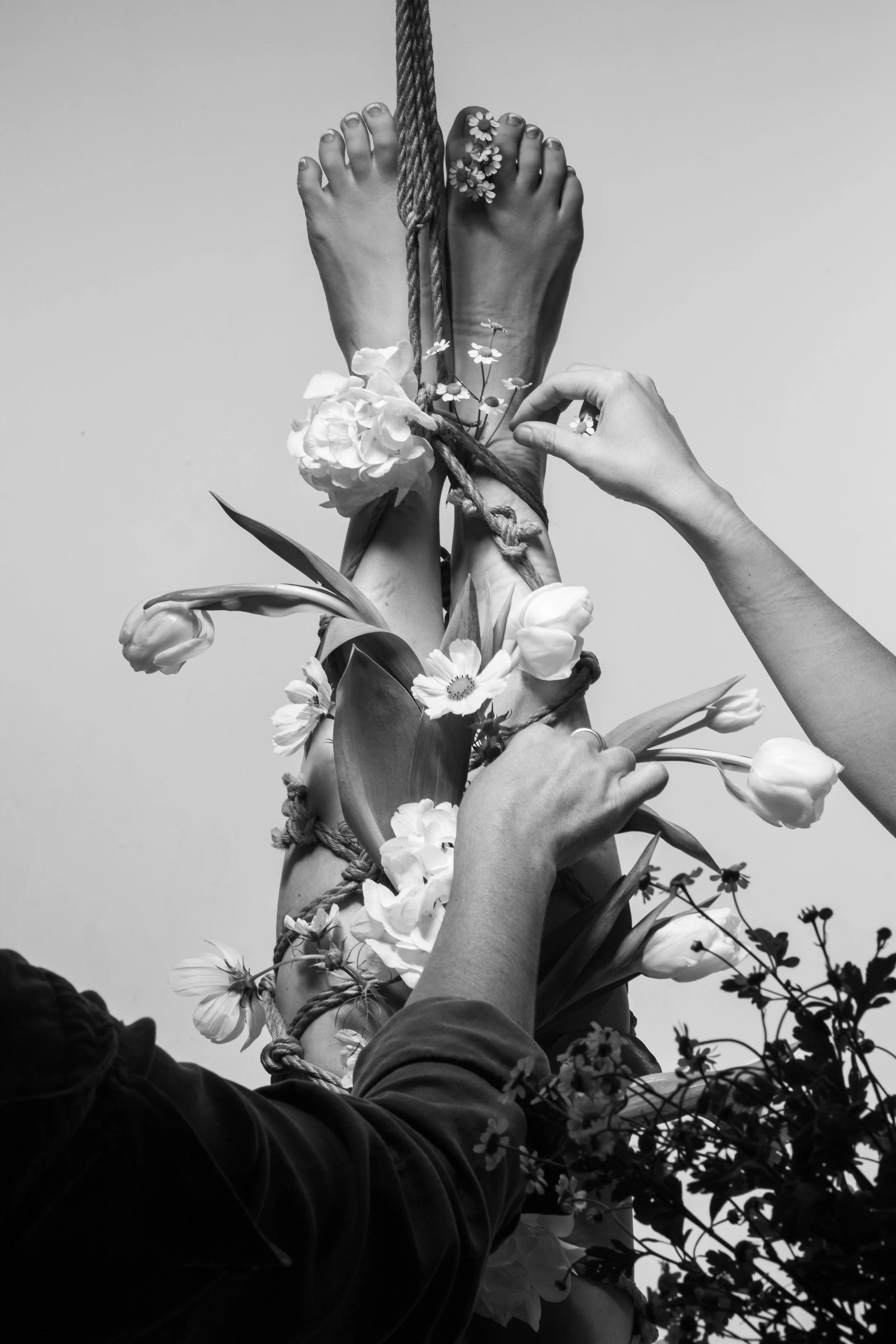 Black and white image of two hands and two feet intertwined with flowers and ropes, with an empty background.