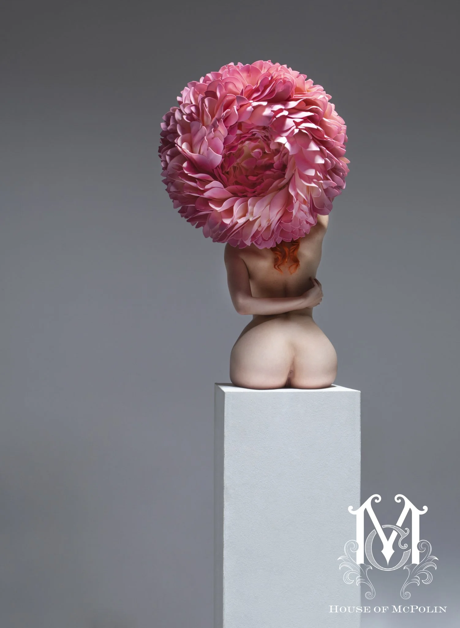 Bloom_Aaron McPolin3.JPG