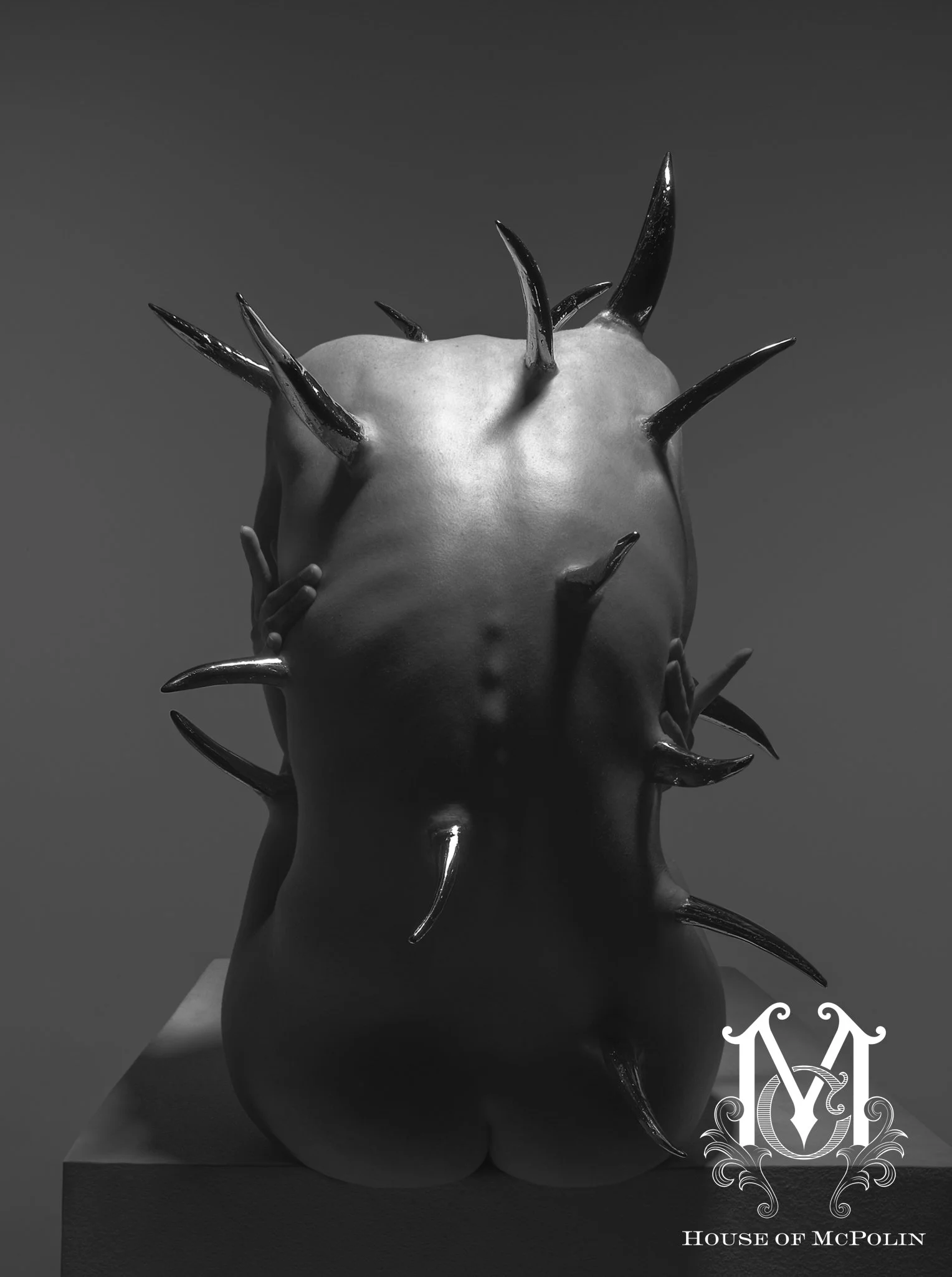 Treasure The Erotic Aaron McPolin original edits_MG_4664bw.JPG