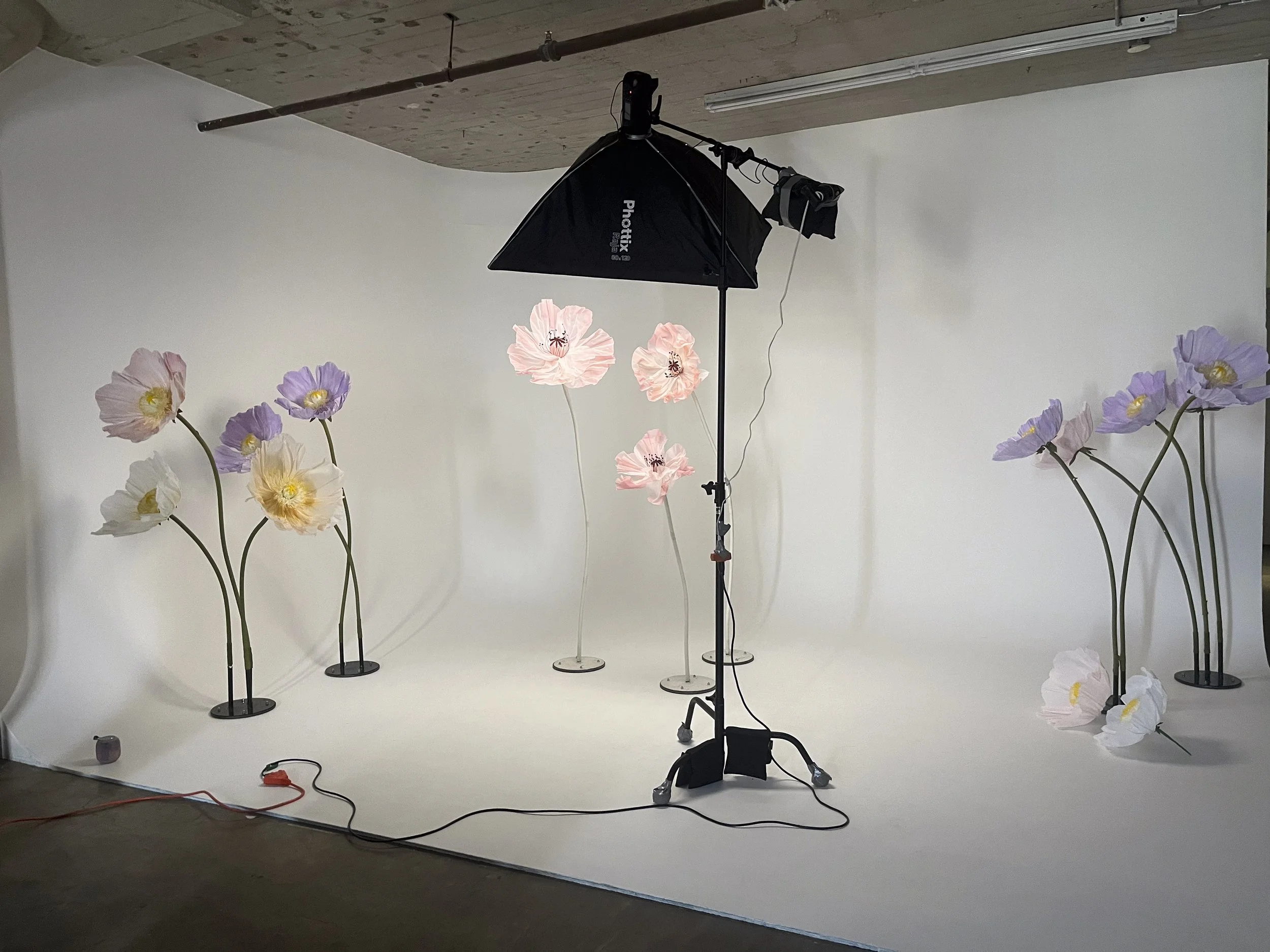 A photography studio setup with flower-shaped light fixtures and a photography lighting umbrella on a white seamless backdrop.