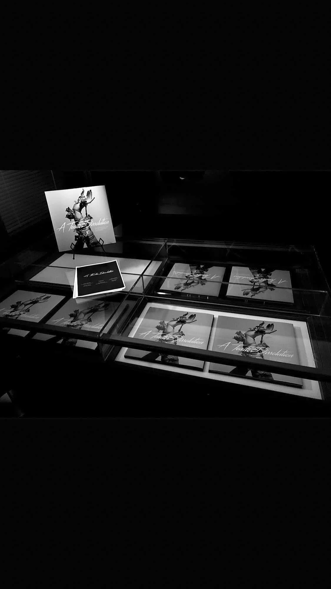 Black and white display of posters and photographs of a pro dancer in a dance pose, titled 'A Tonal Revolution'.