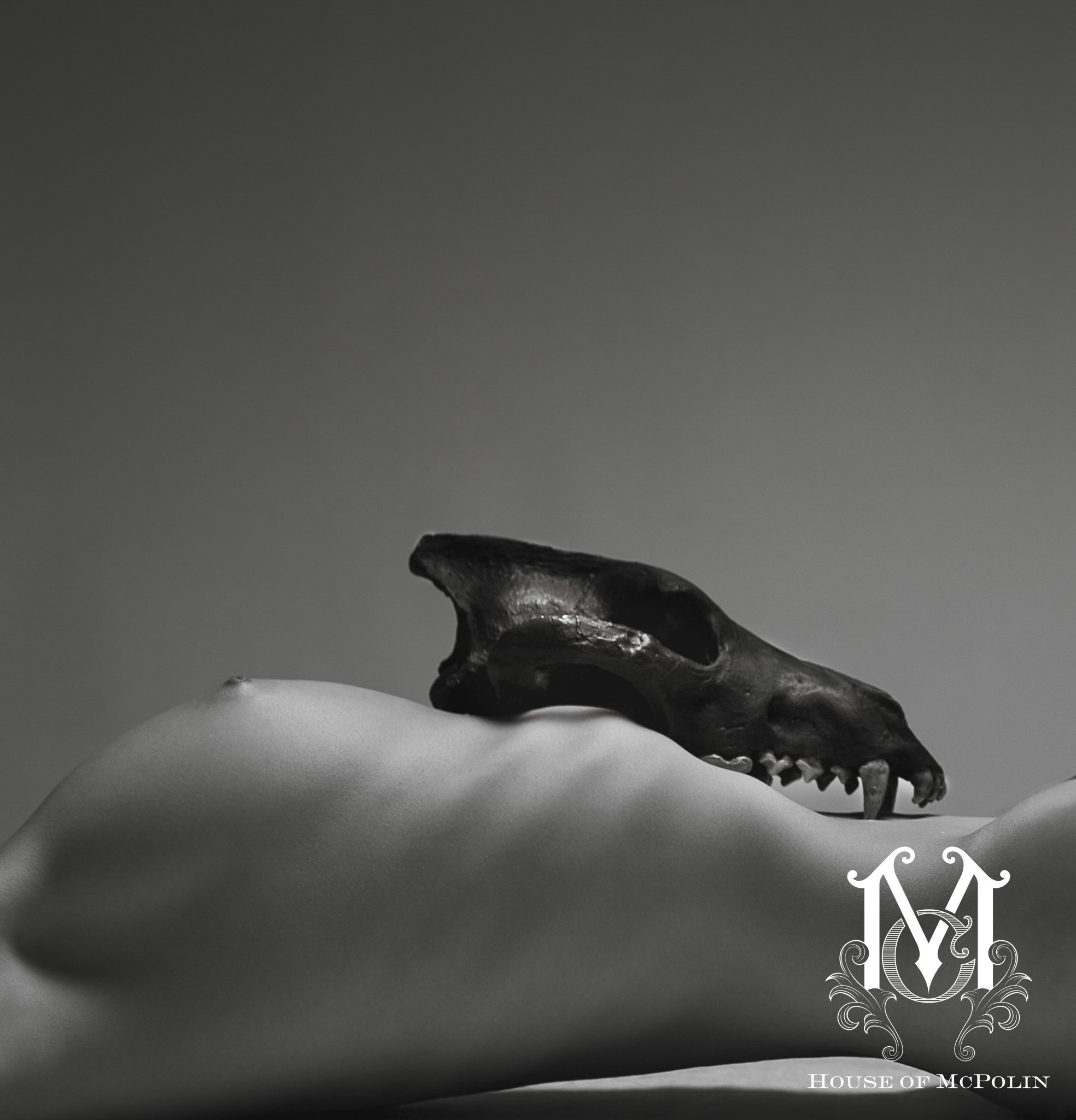 The Garden_A Pattern of rebirth_haylee cee_Theresa goddard_25.JPG