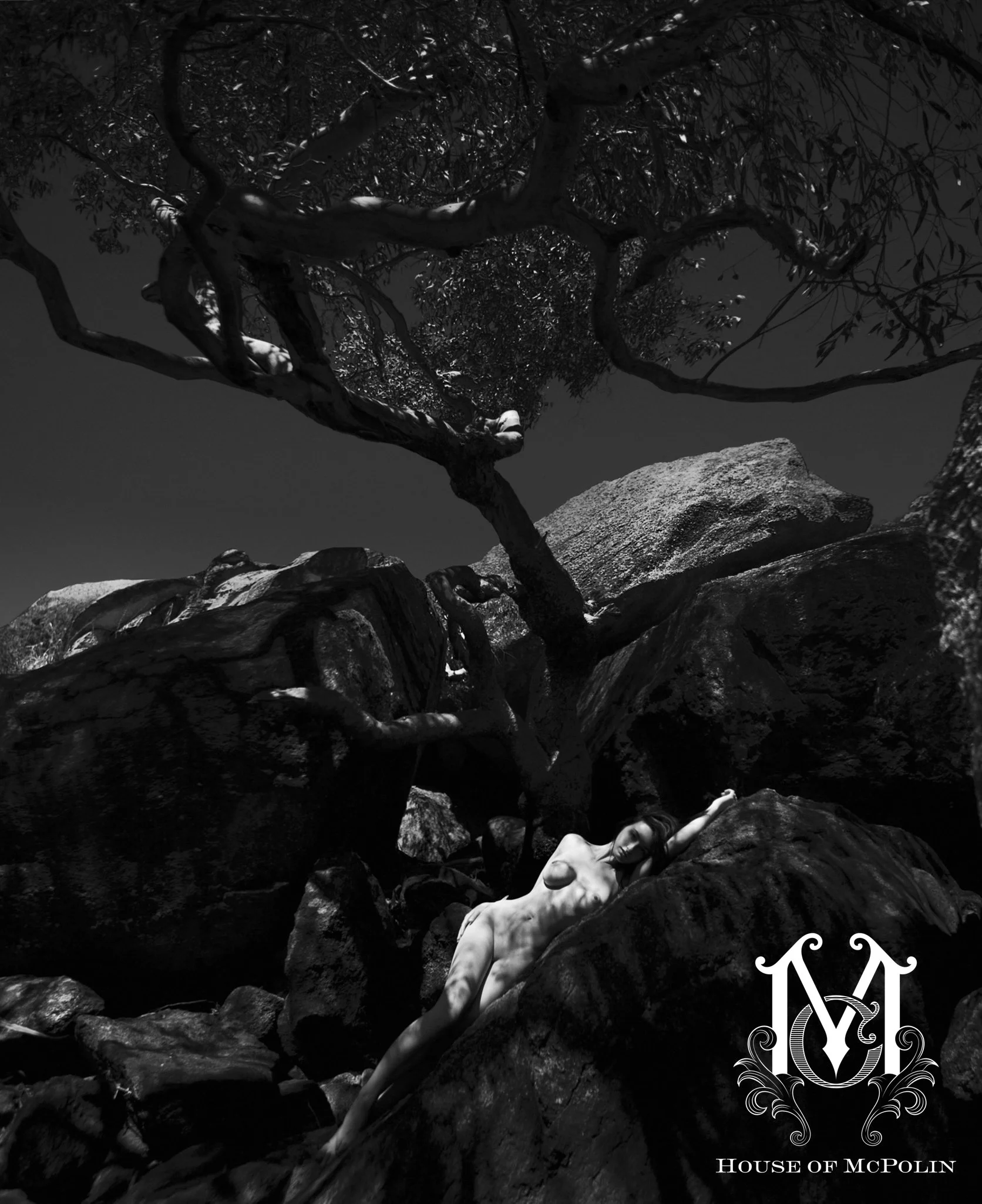 The Garden_A Pattern of rebirth_haylee cee_Theresa goddard_79.JPG