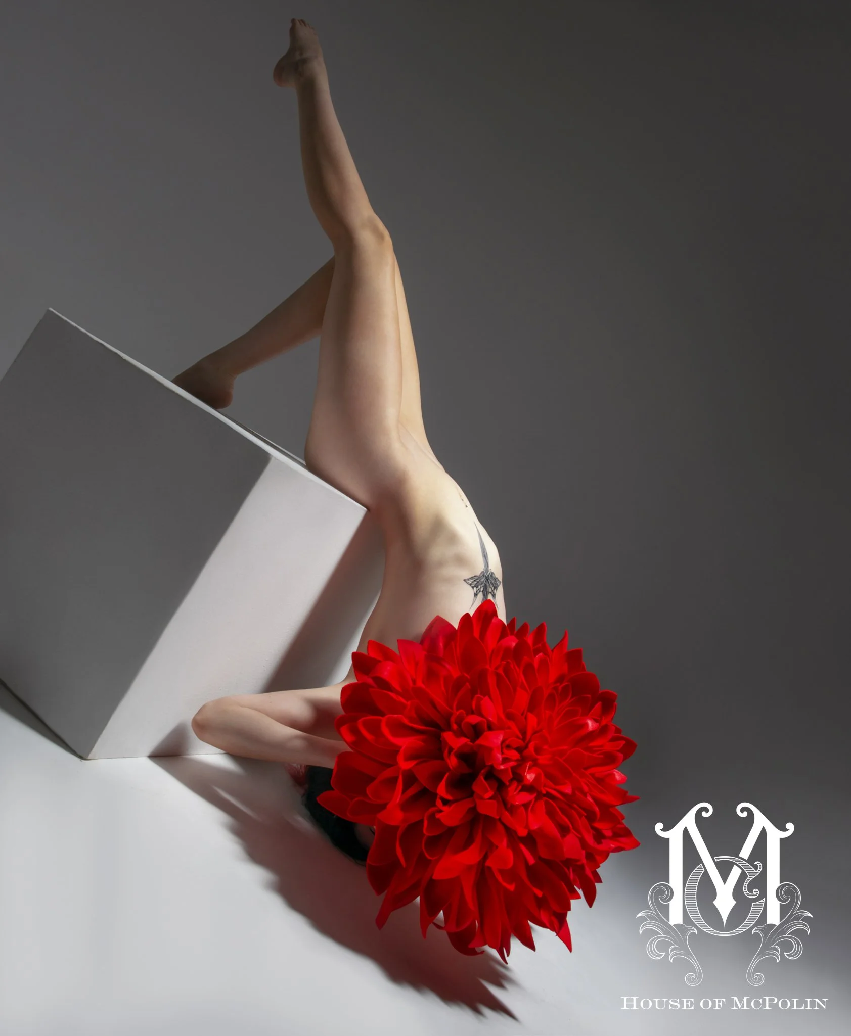 Bloom_Aaron McPolin151.JPG