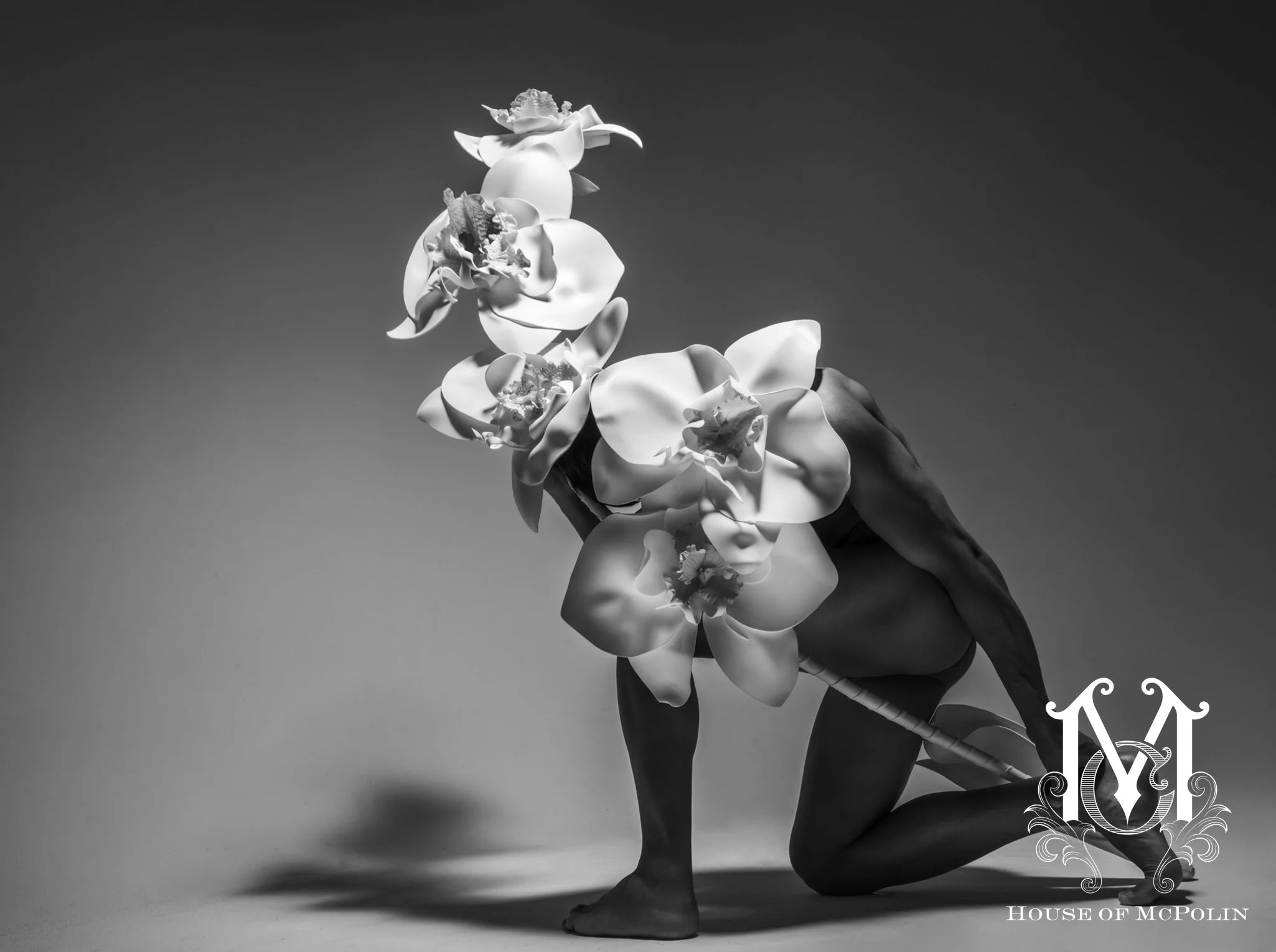 Bloom_Aaron McPolin98.JPG