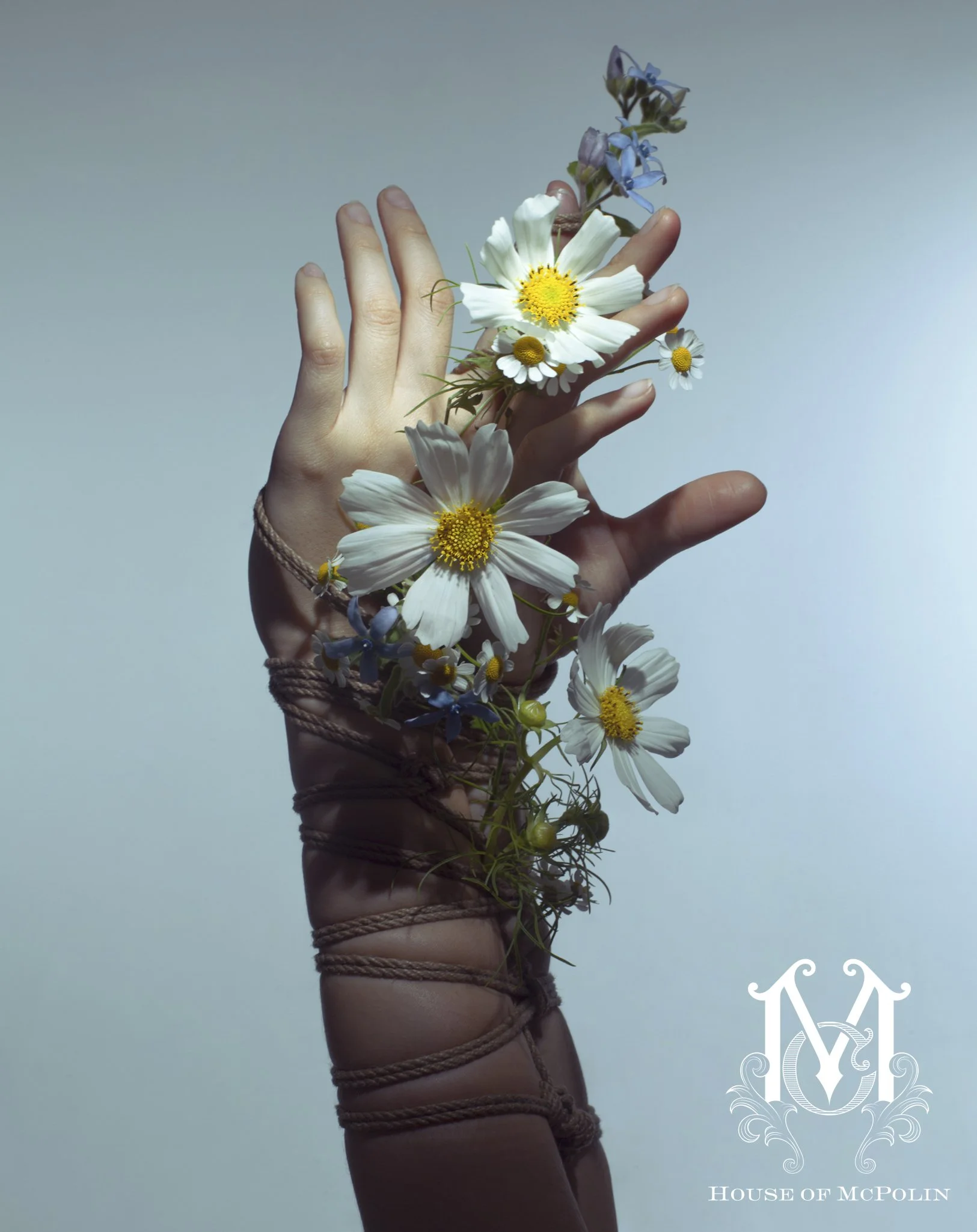 A Tender Dissolution_Paul kabzinski_BloomTribe_haylee cee_aaron mcpolin14.JPG