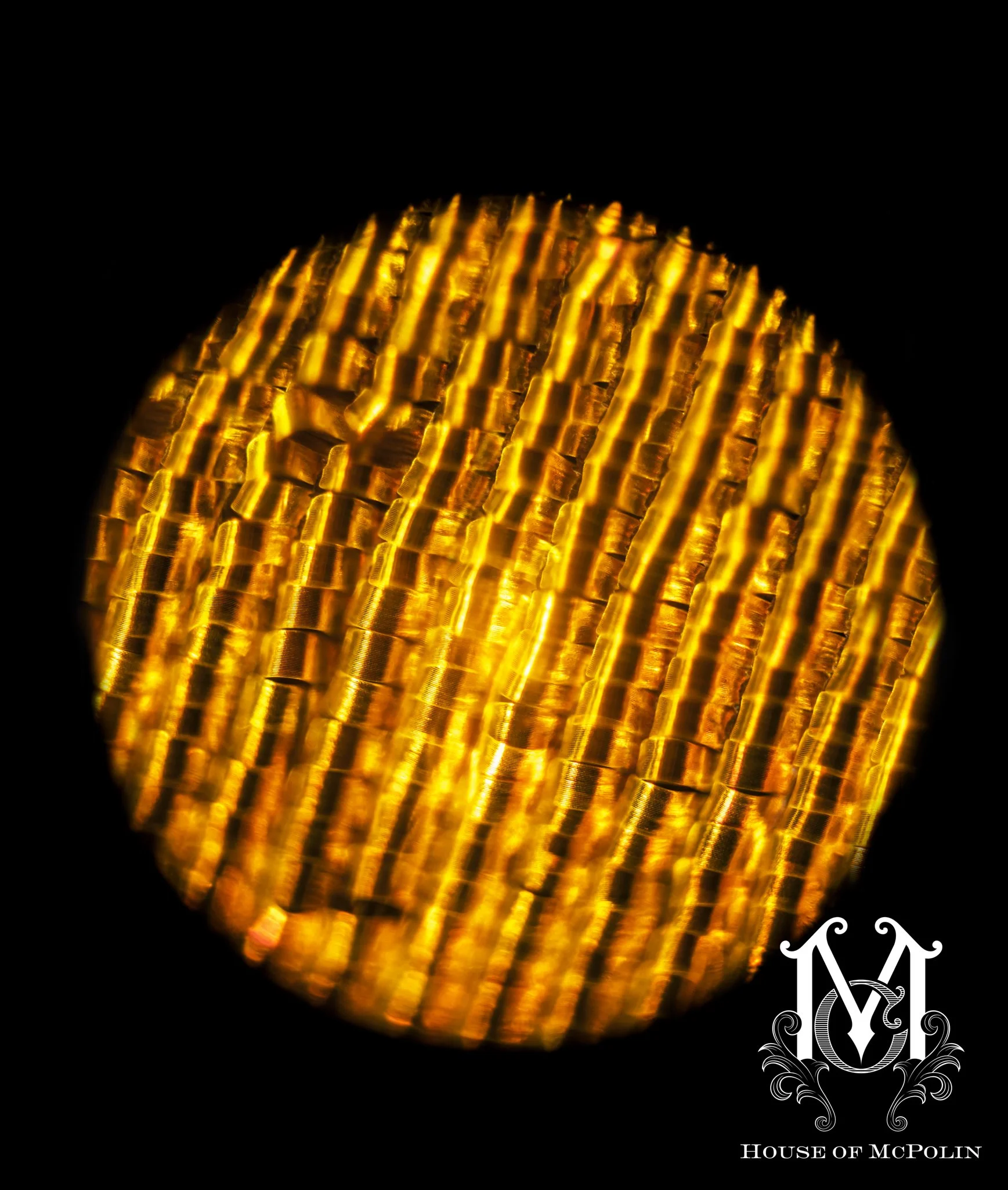 Pin cushion _ fine art_ Alex Gerrard__MG_1901.JPG