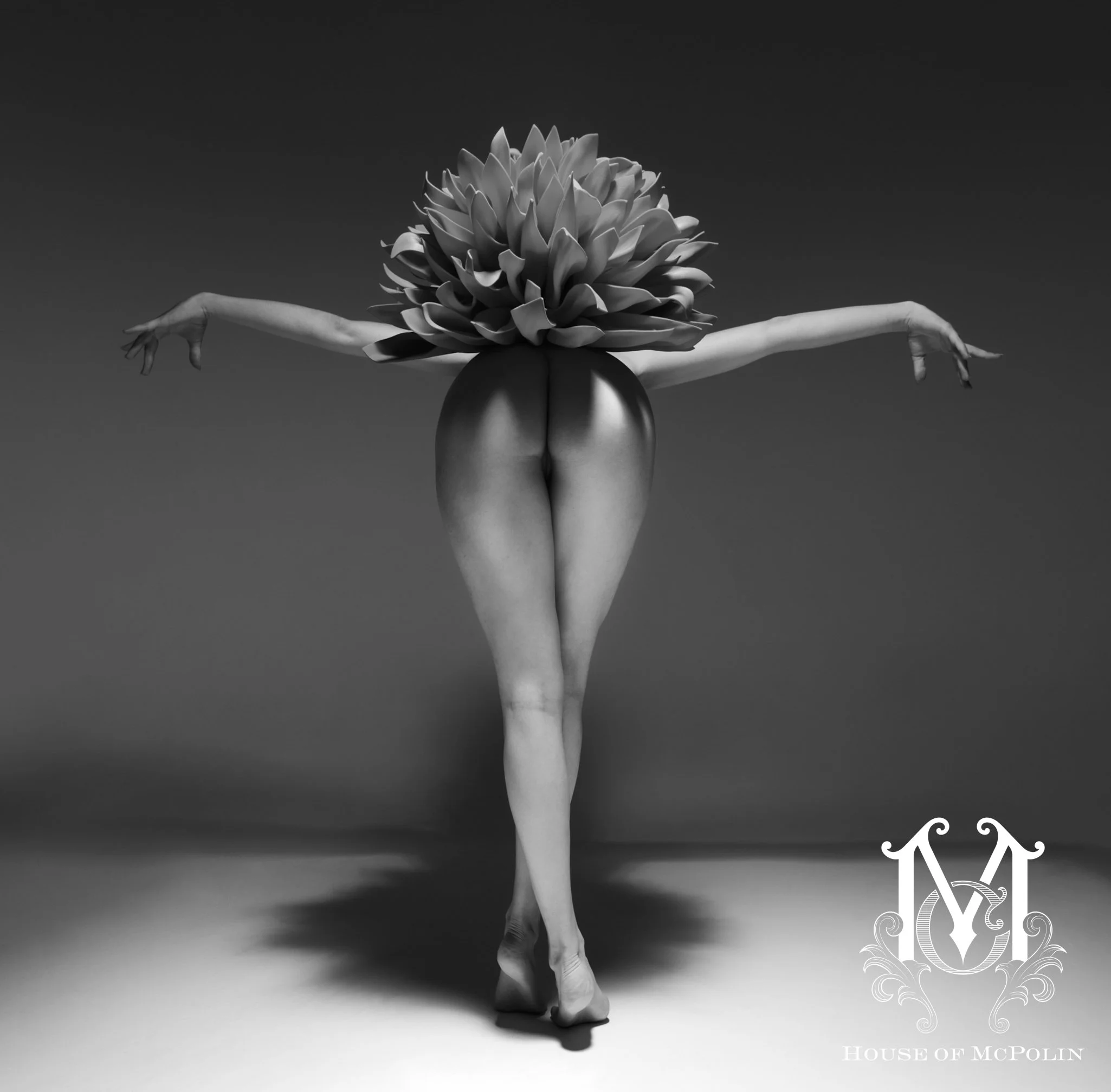 Bloom_Aaron McPolin34.JPG