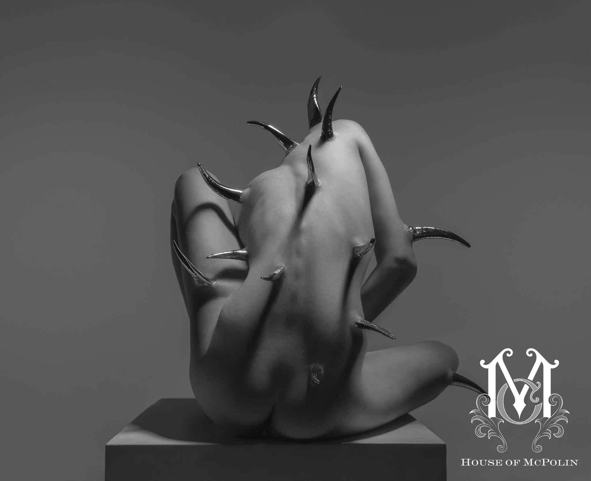 Treasure The Erotic Aaron McPolin original edits_MG_4654bw.JPG