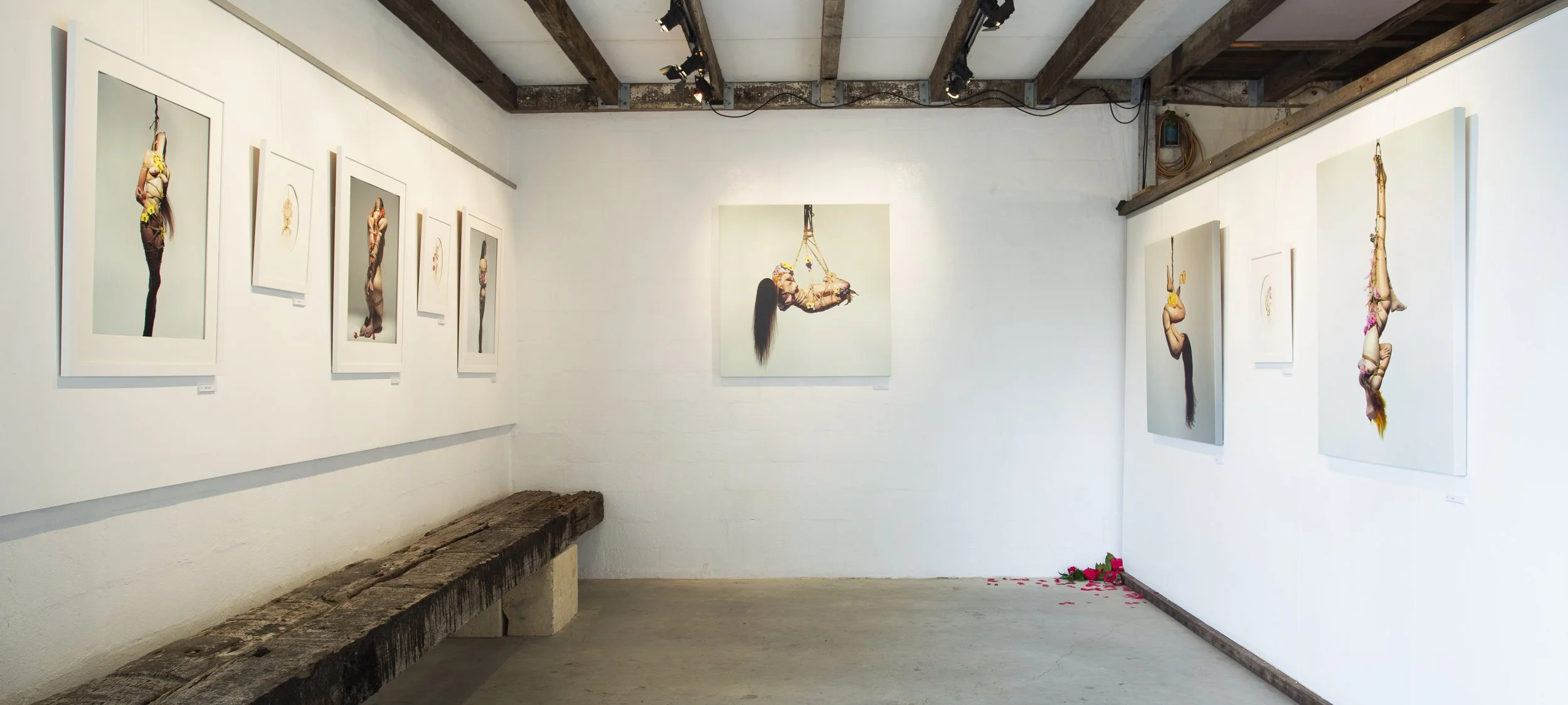 Art gallery with multiple framed photographs of a woman in dynamic poses, some hanging upside down, on white walls and wooden ceiling beams.