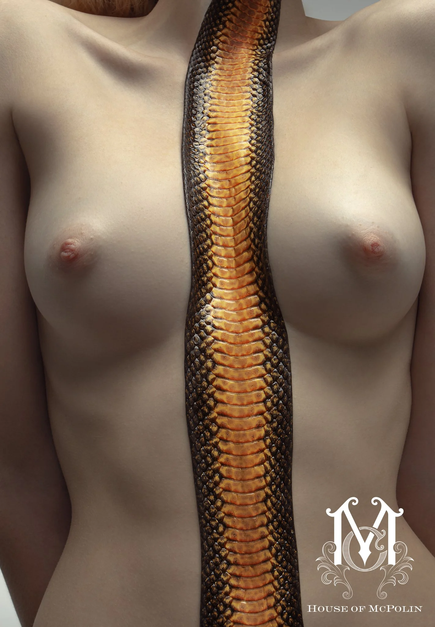 Treasure The Erotic Aaron McPolin original edits_MG_3772.JPG