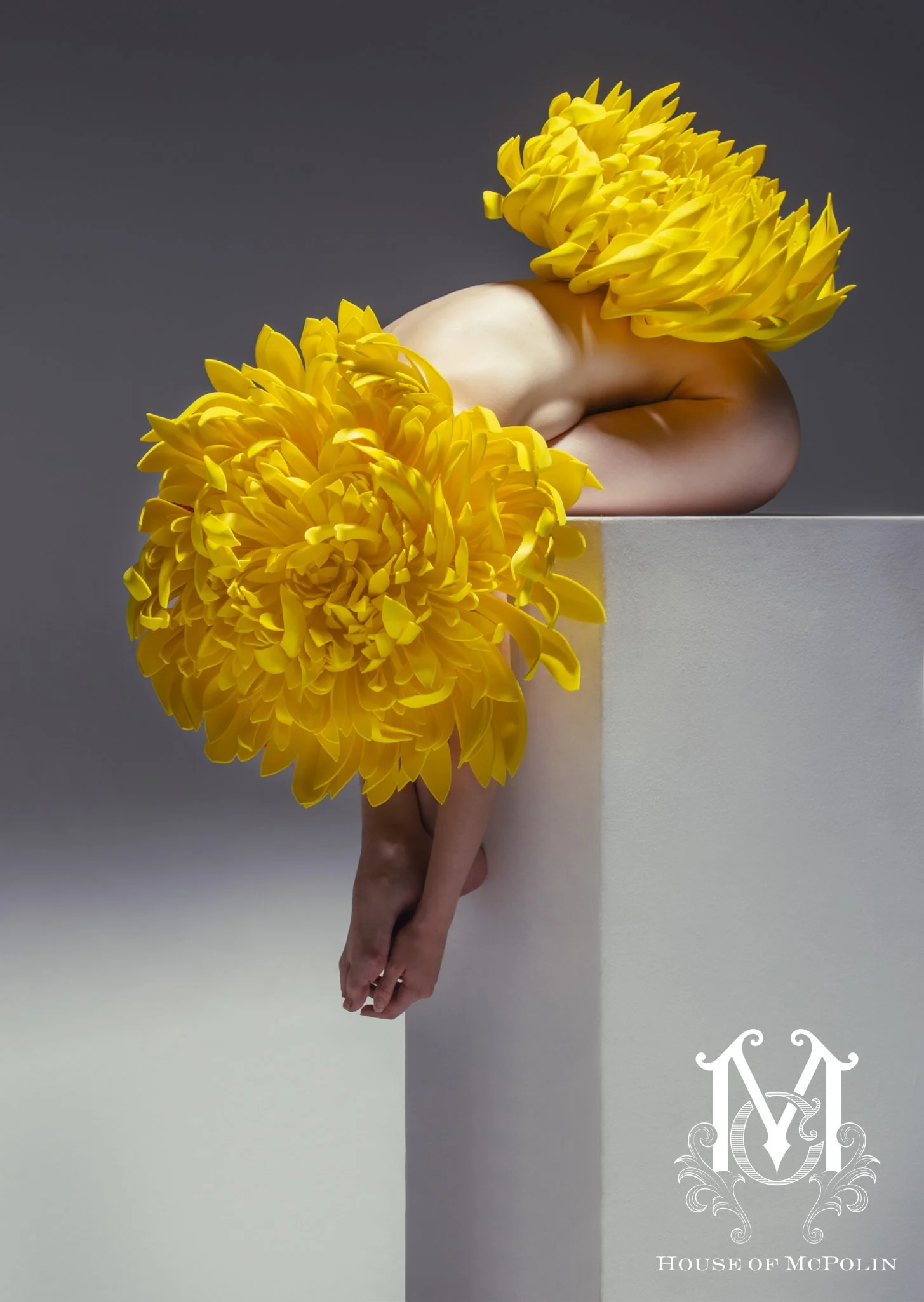 Bloom_Aaron McPolin25.JPG