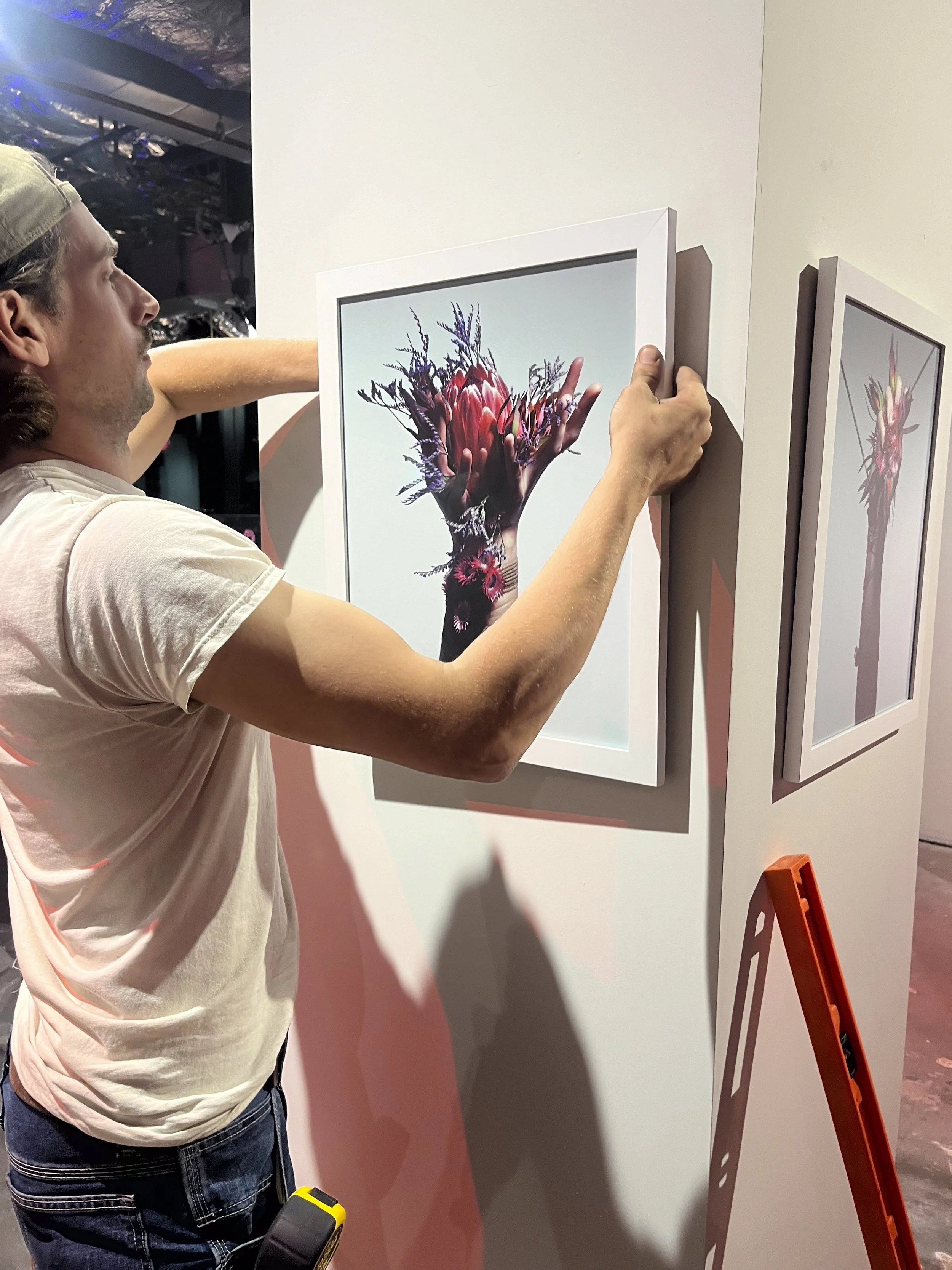 A man hanging a framed photograph of a flower on a white wall at an art gallery or exhibition.