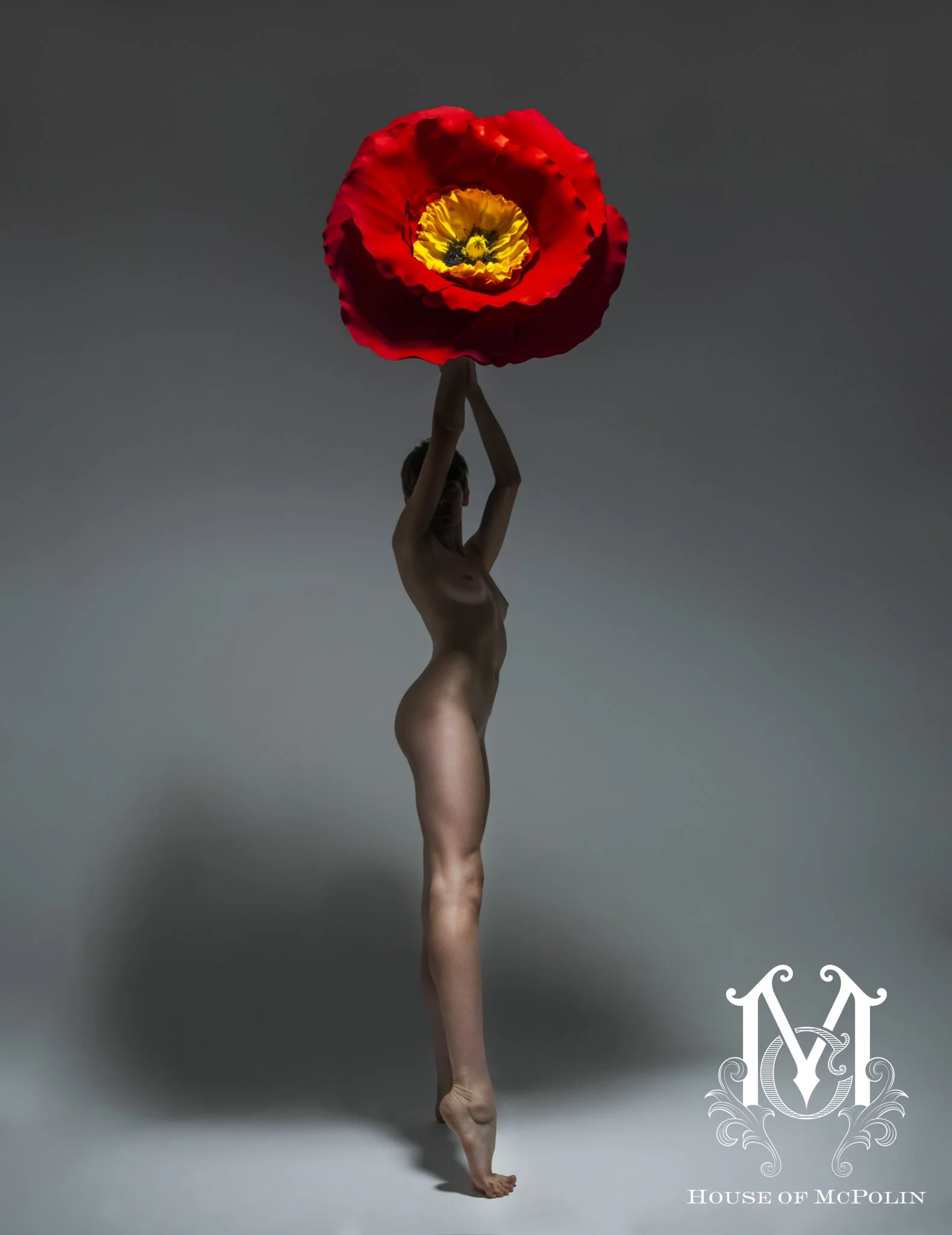 Bloom_Aaron McPolin64.JPG