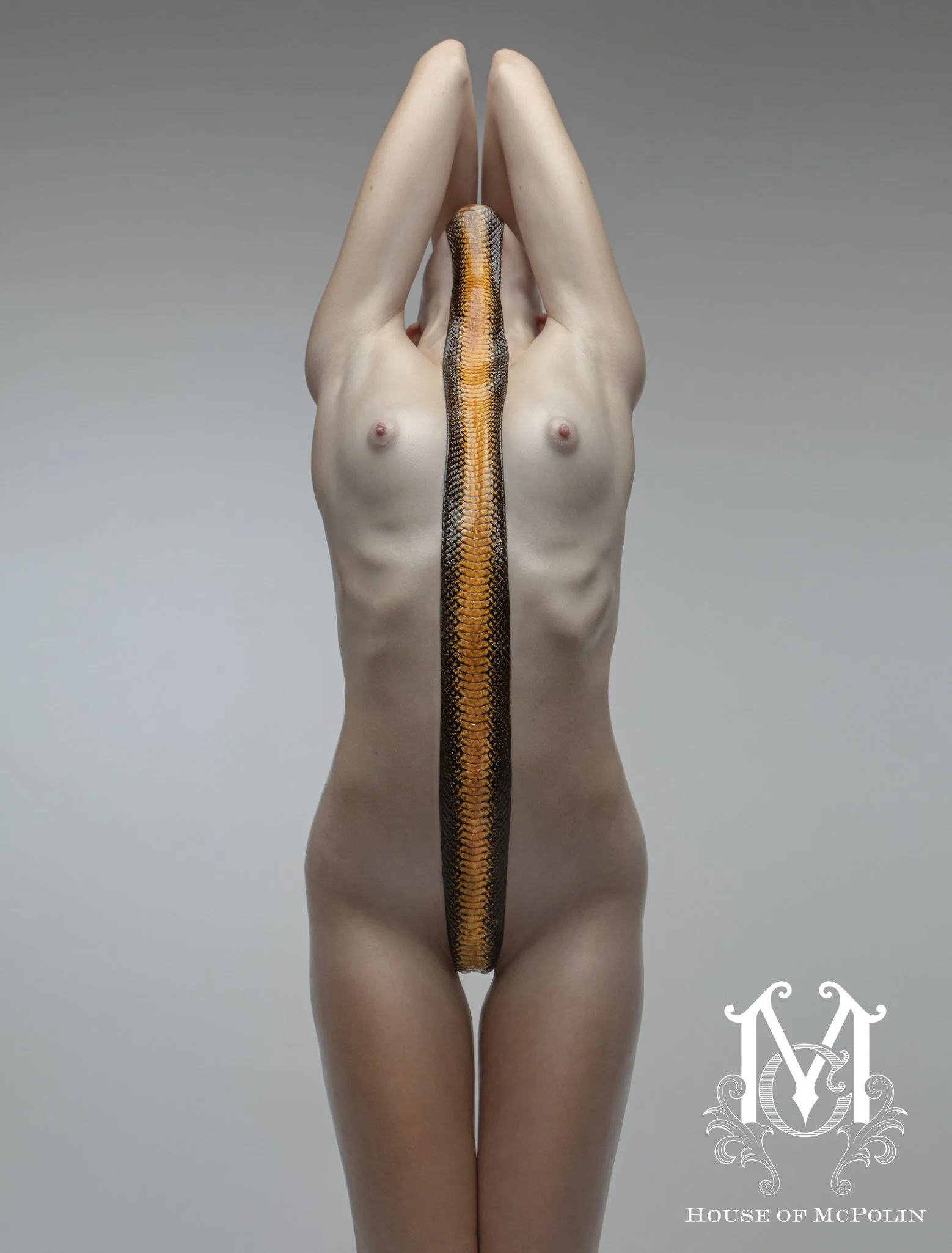 Treasure The Erotic Aaron McPolin original edits_MG_4149.JPG