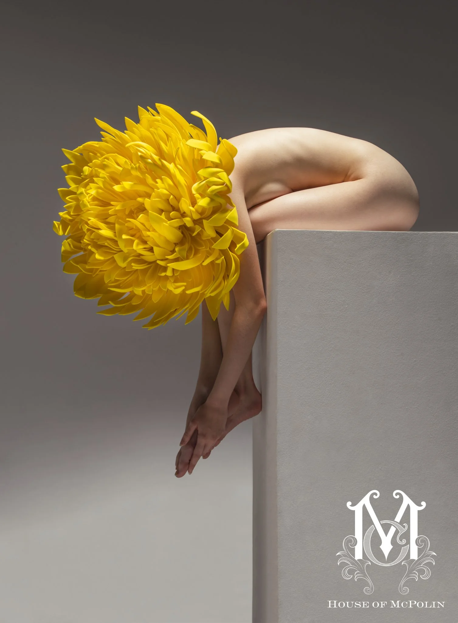 Bloom_Aaron McPolin23.JPG