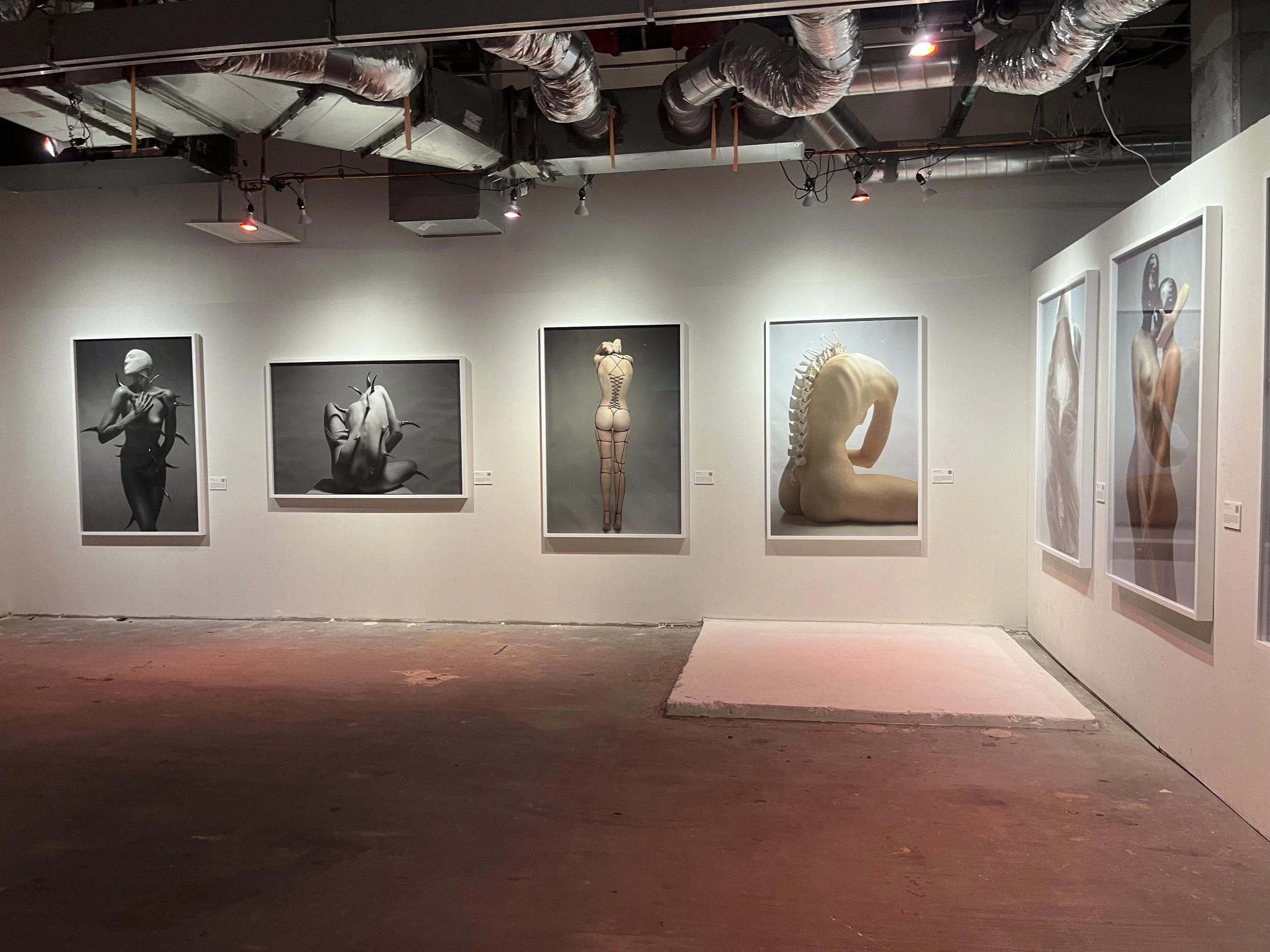 Gallery with framed photographs of abstract and artistic human forms and sculptures on a white wall in an art gallery.