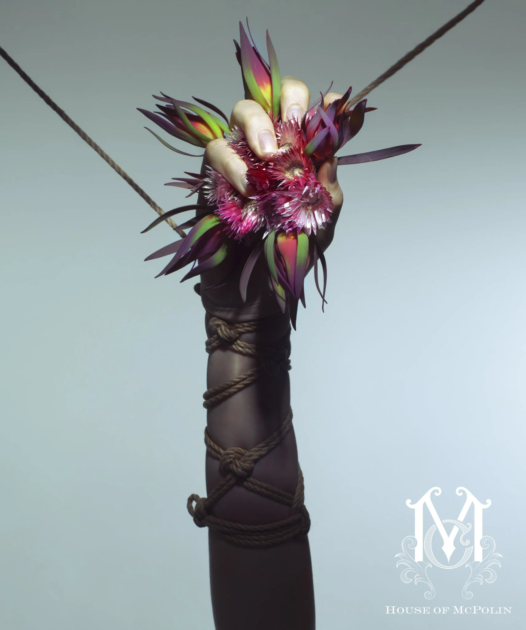 A Tender Dissolution_Paul kabzinski_BloomTribe_haylee cee_aaron mcpolin52.JPG