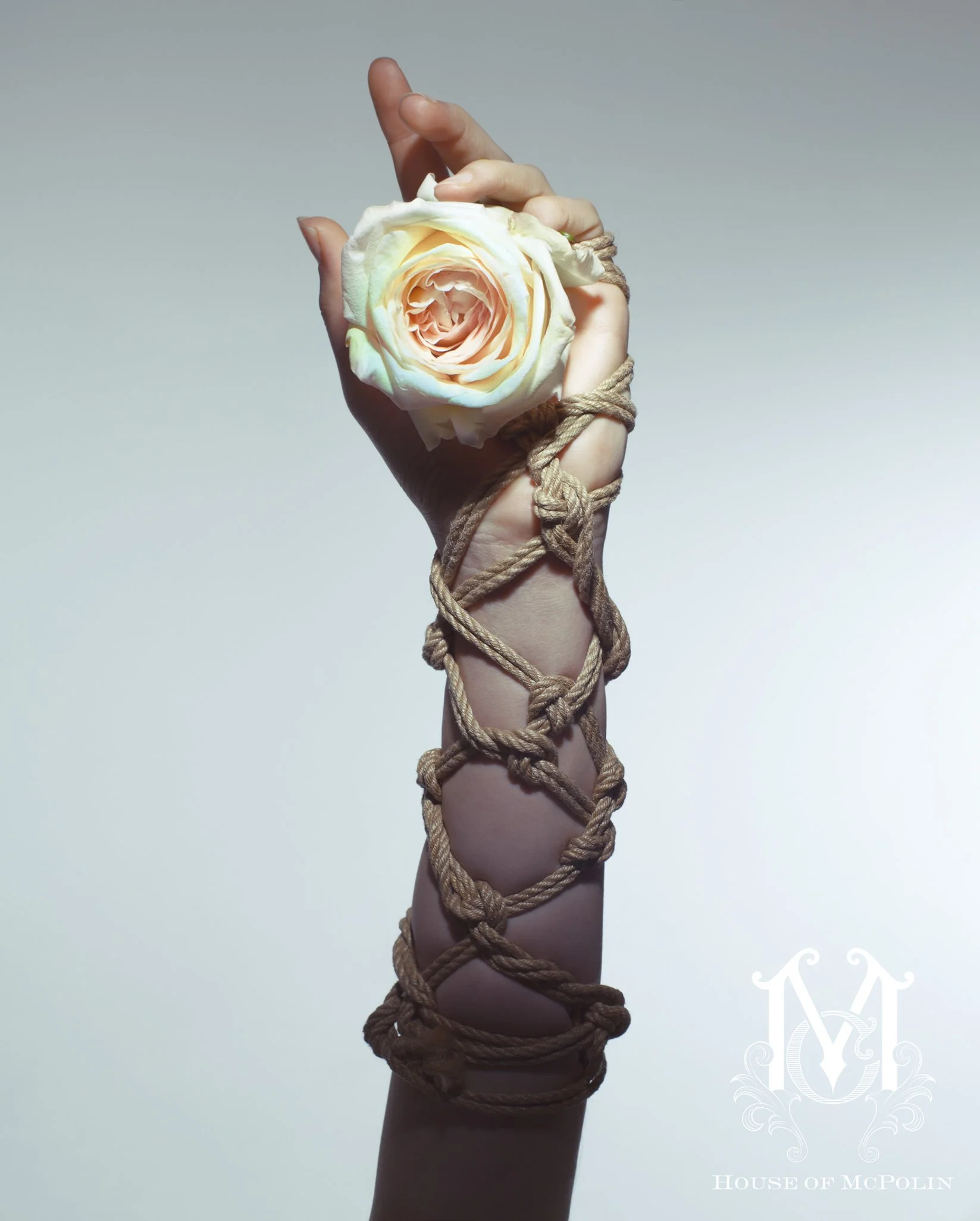 A Tender Dissolution_Paul kabzinski_BloomTribe_haylee cee_aaron mcpolin54.JPG