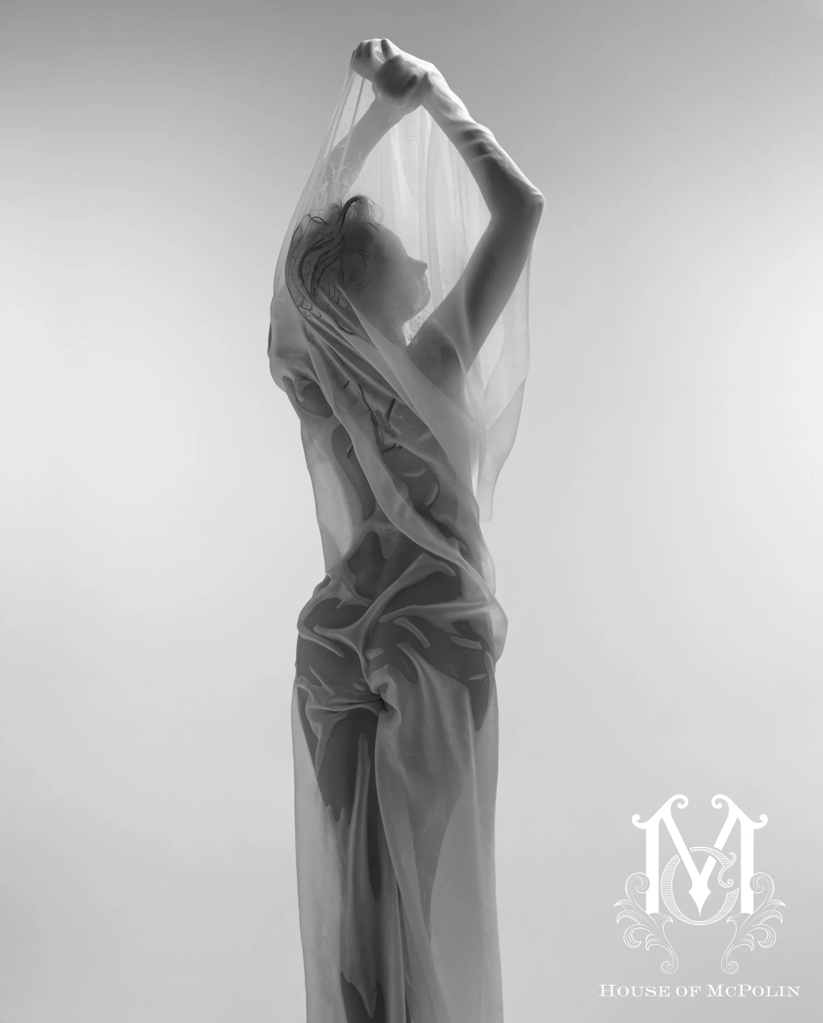 Treasure The Erotic Aaron McPolin original edits_MG_0333bw.JPG