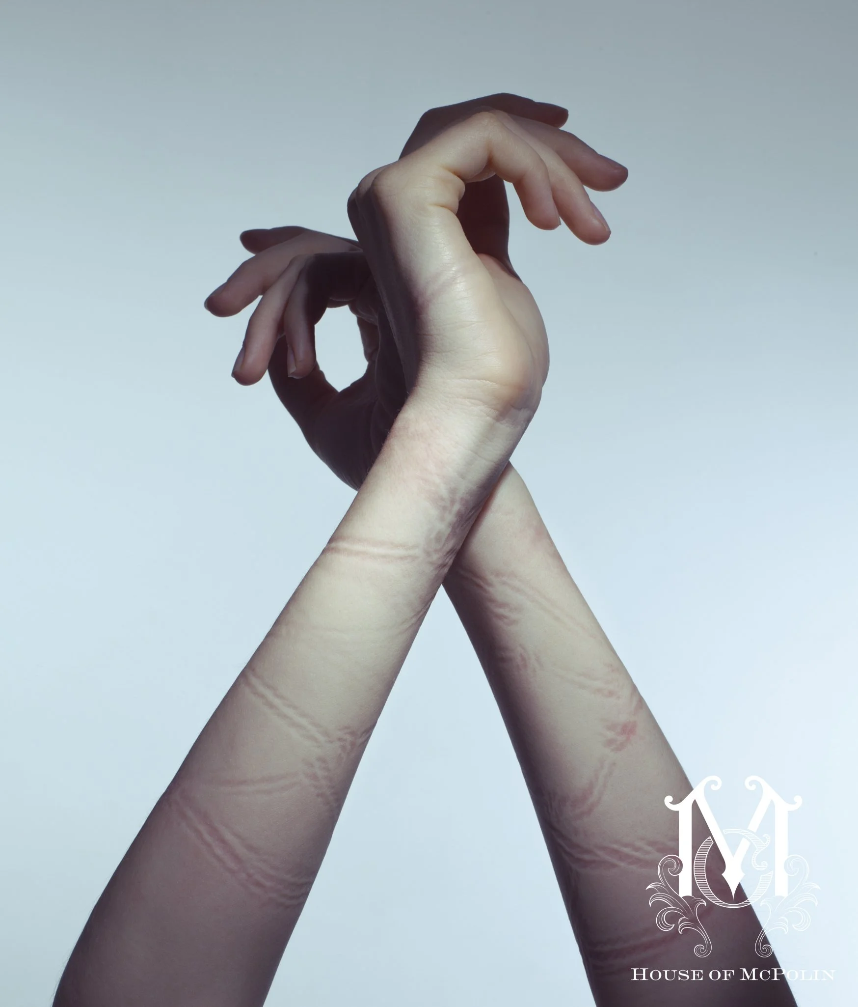 A Tender Dissolution_Paul kabzinski_BloomTribe_haylee cee_aaron mcpolin17.JPG