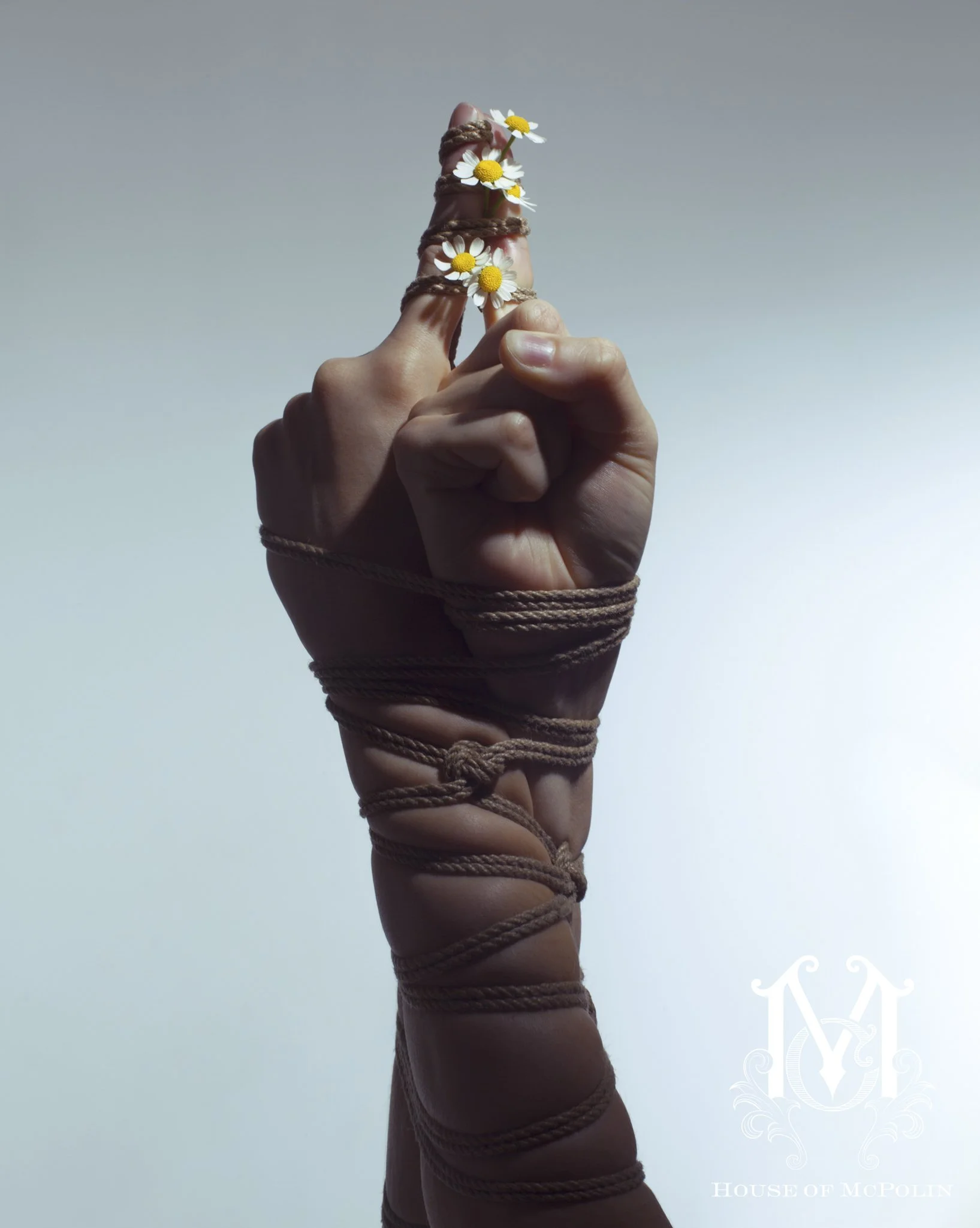 A Tender Dissolution_Paul kabzinski_BloomTribe_haylee cee_aaron mcpolin11.JPG