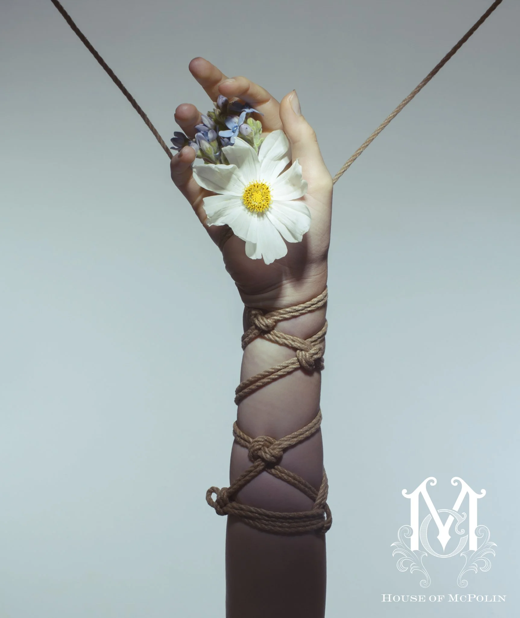 A Tender Dissolution_Paul kabzinski_BloomTribe_haylee cee_aaron mcpolin15.JPG